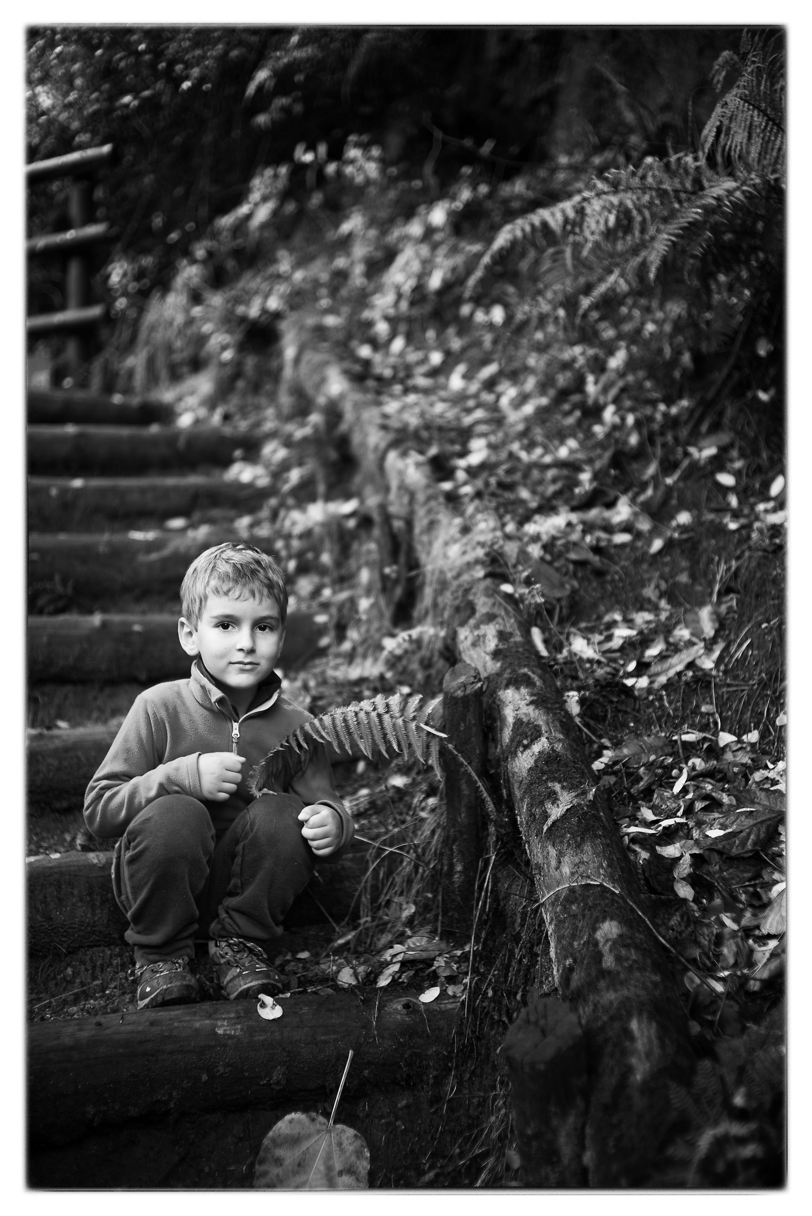 A7s + Zm Zeiss C Sonnar 50mm f / 1.5 @ 1.5