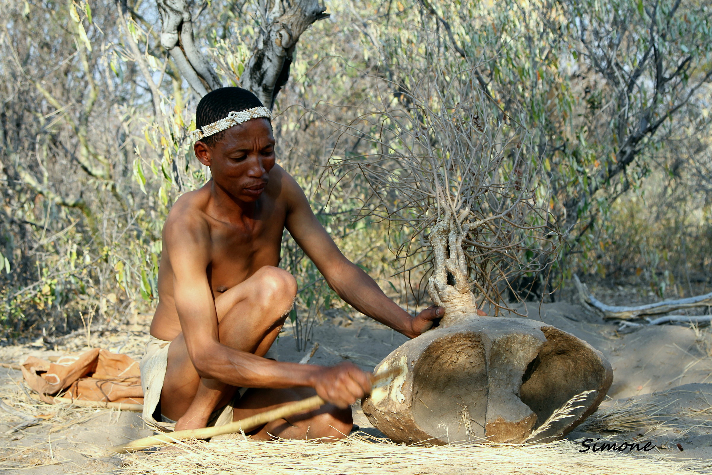 Here's how to get water in the Kalahari