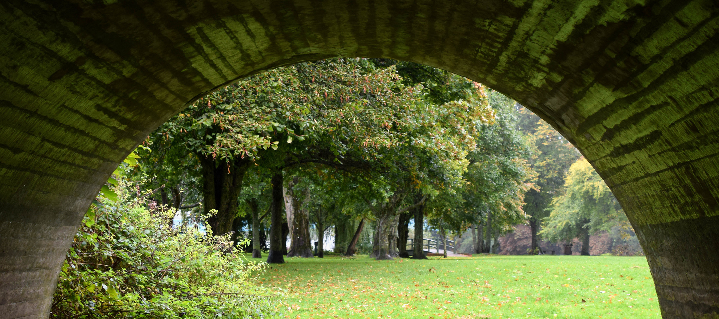 Sheltering Beneath the Arches