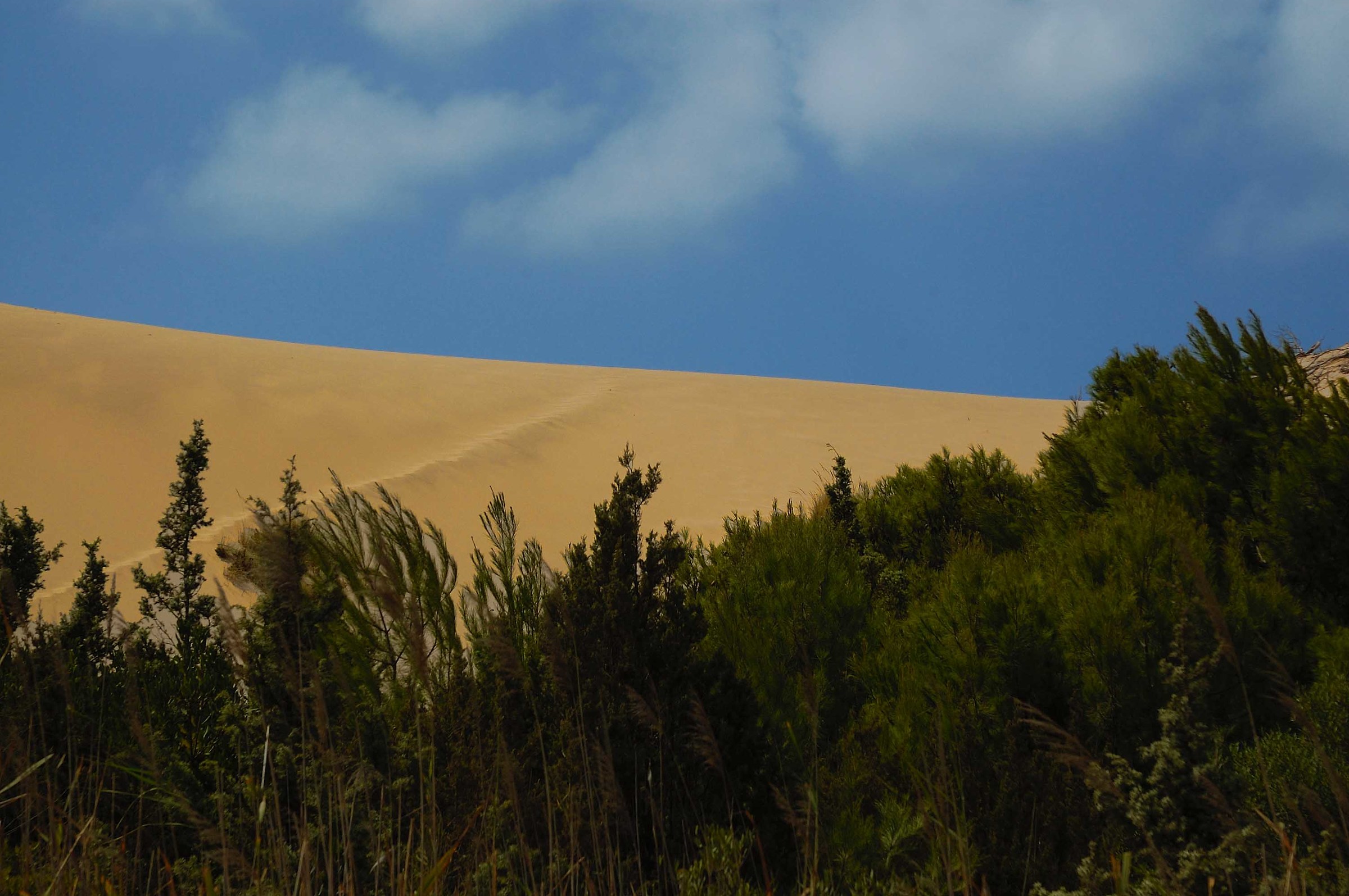 sardegna - dune di piscinas