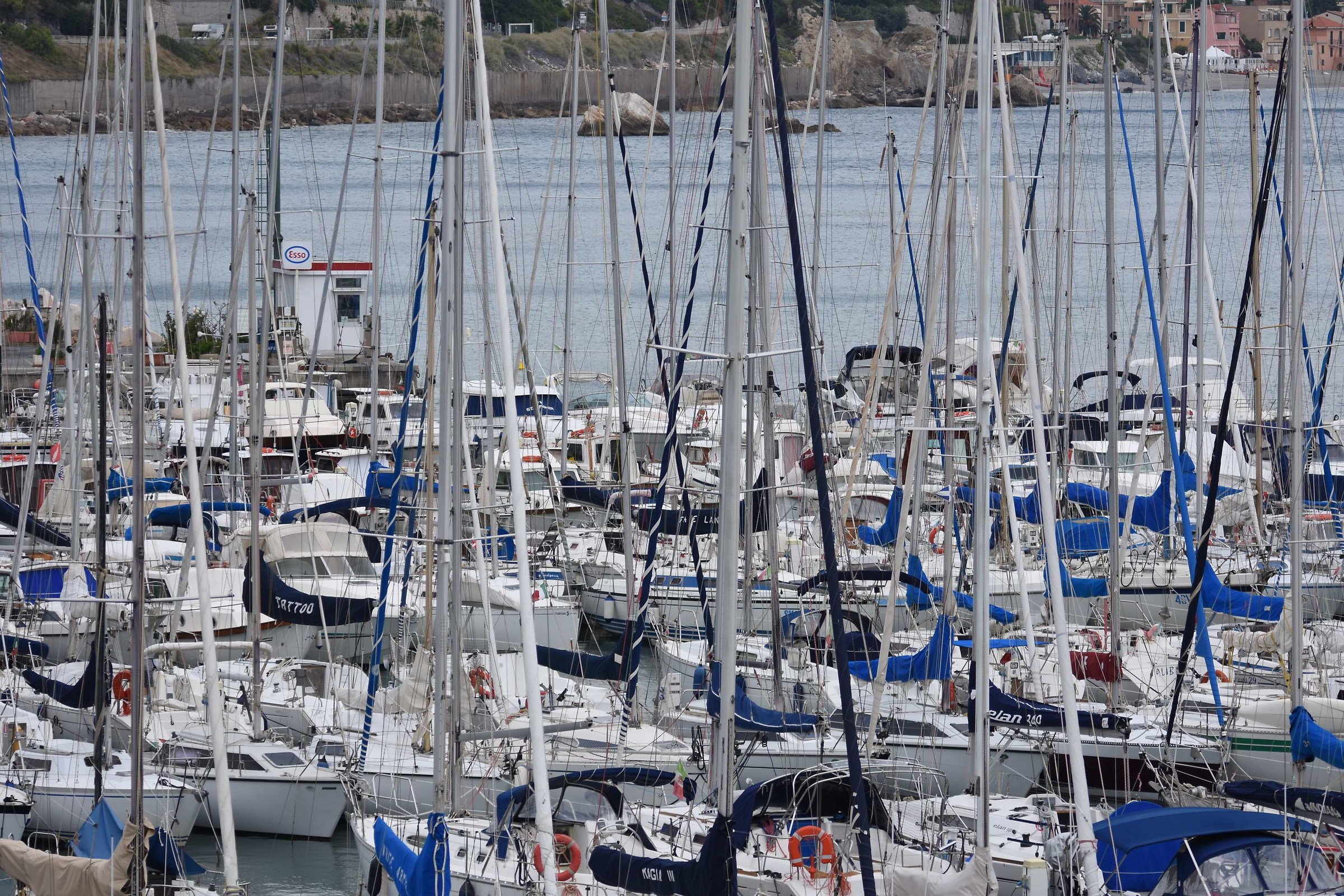 Su su ...belli dritti