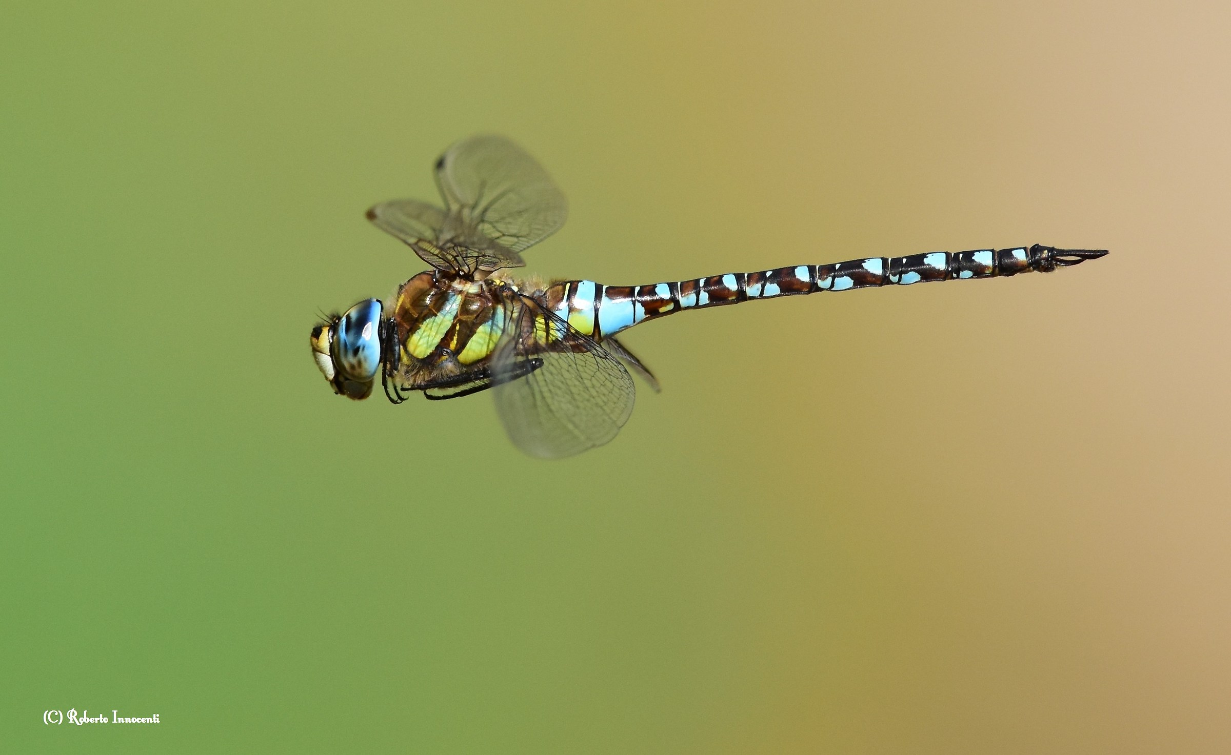 There are almost succeeded.