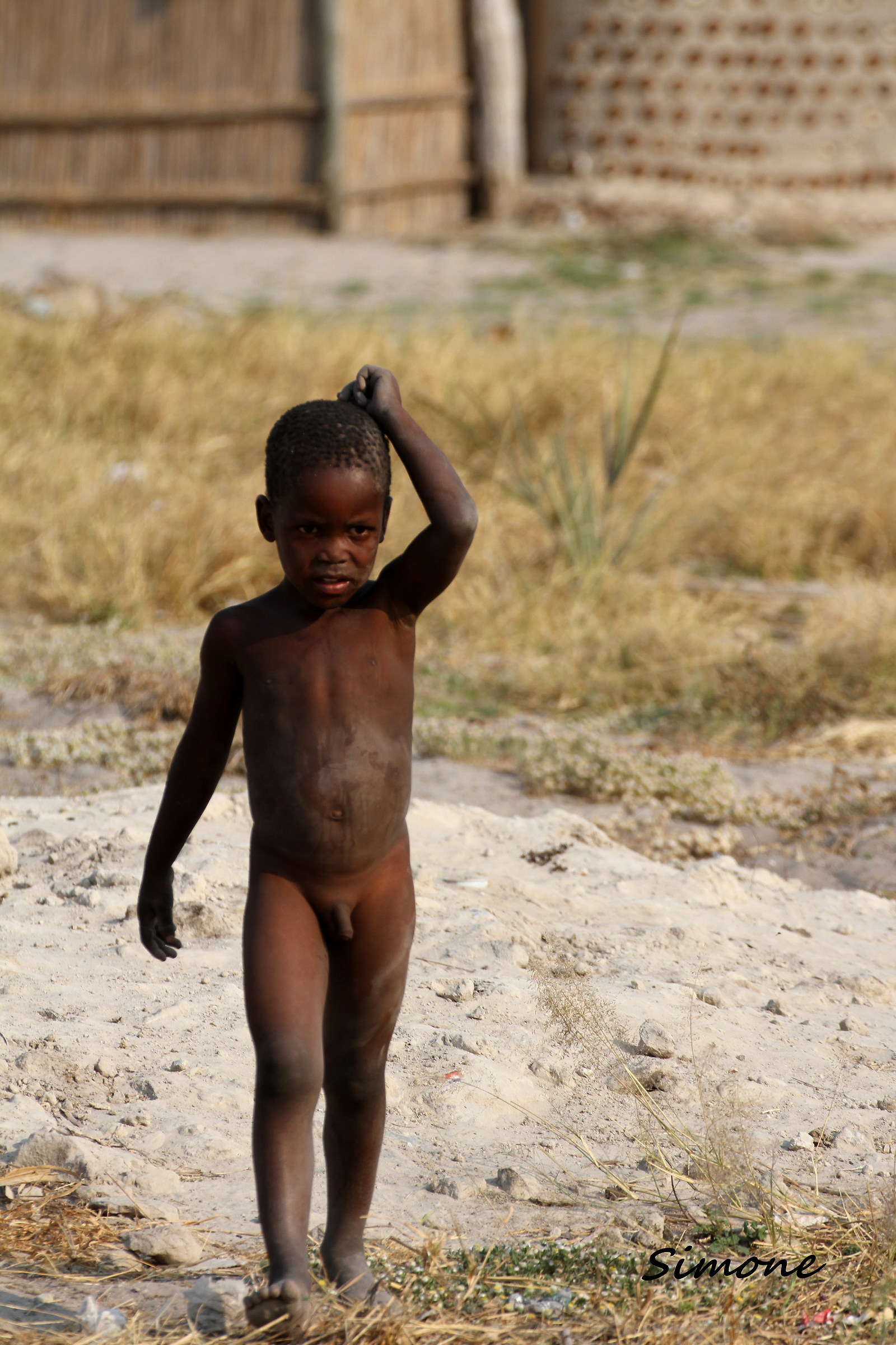 Traveling the Botswana