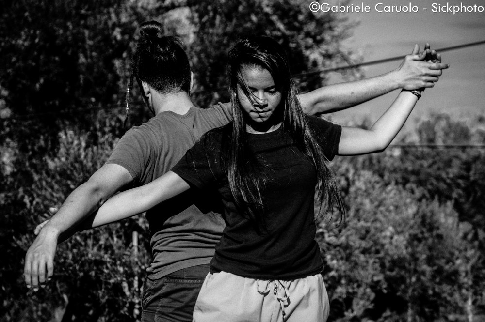 Interplay between the olive trees