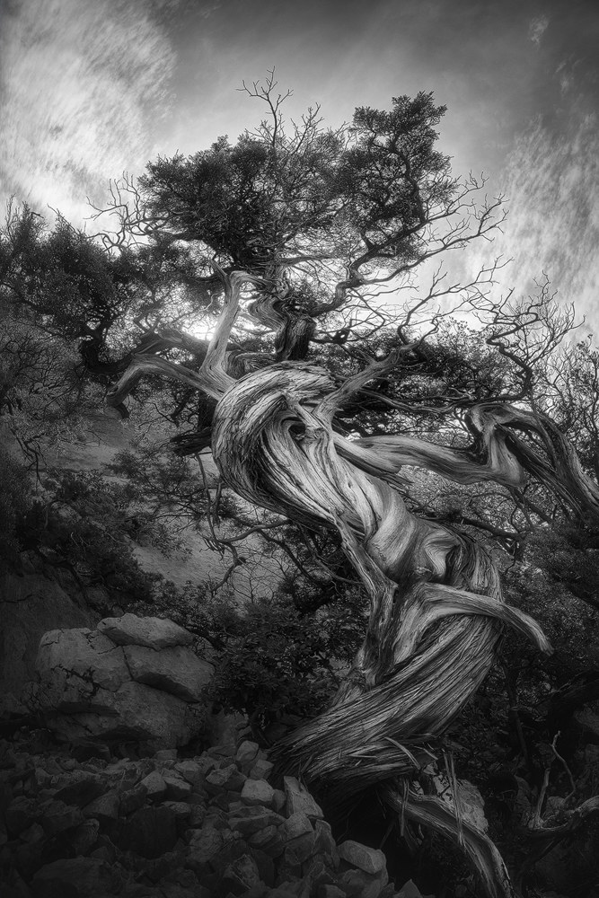 Il guardiano del tempo