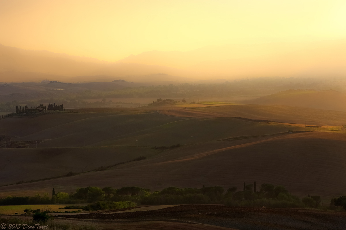 Sunset with umbrella .. (in Val d'Orcia)
