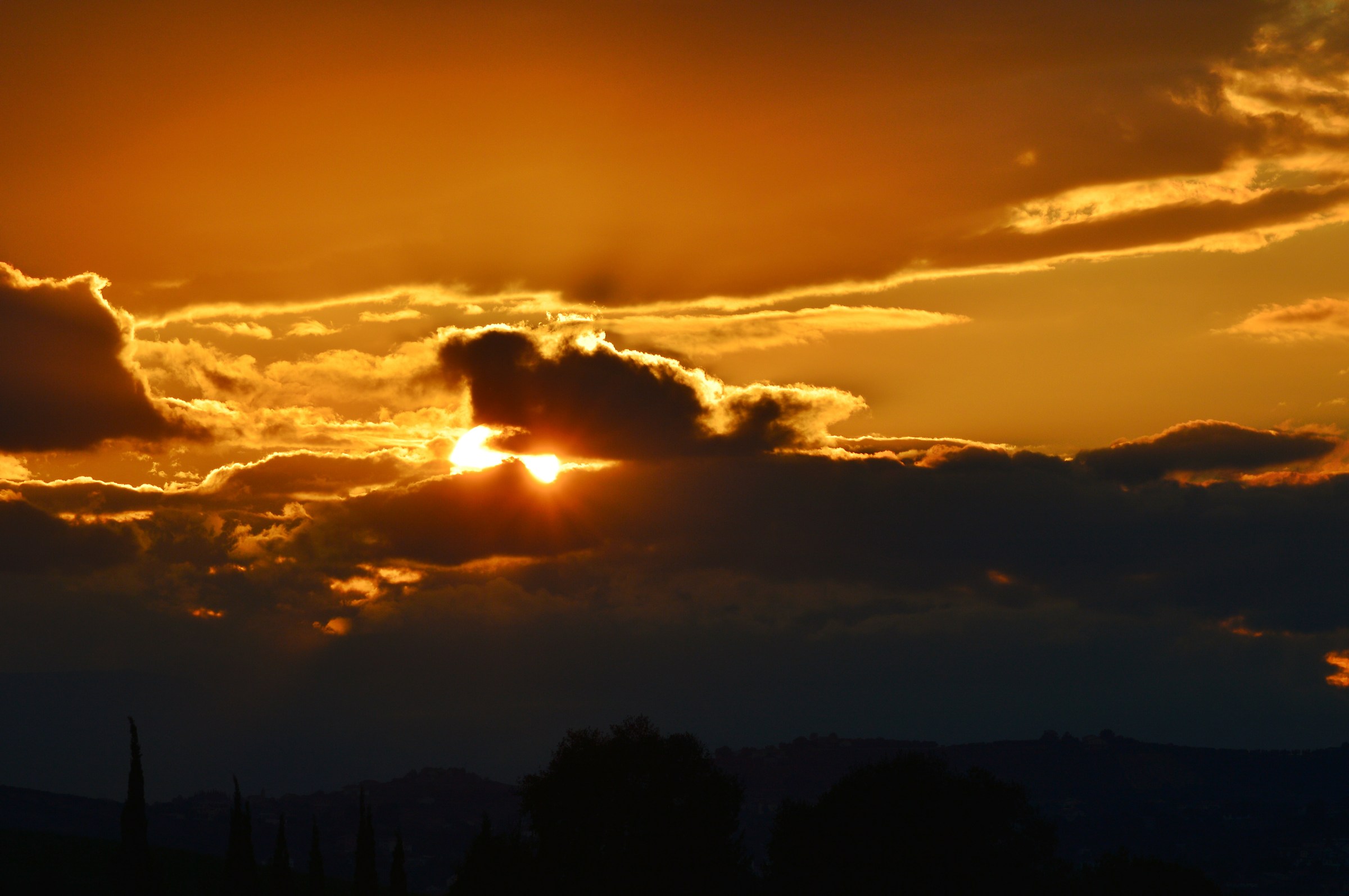 A volte si...nasconde ;-)))