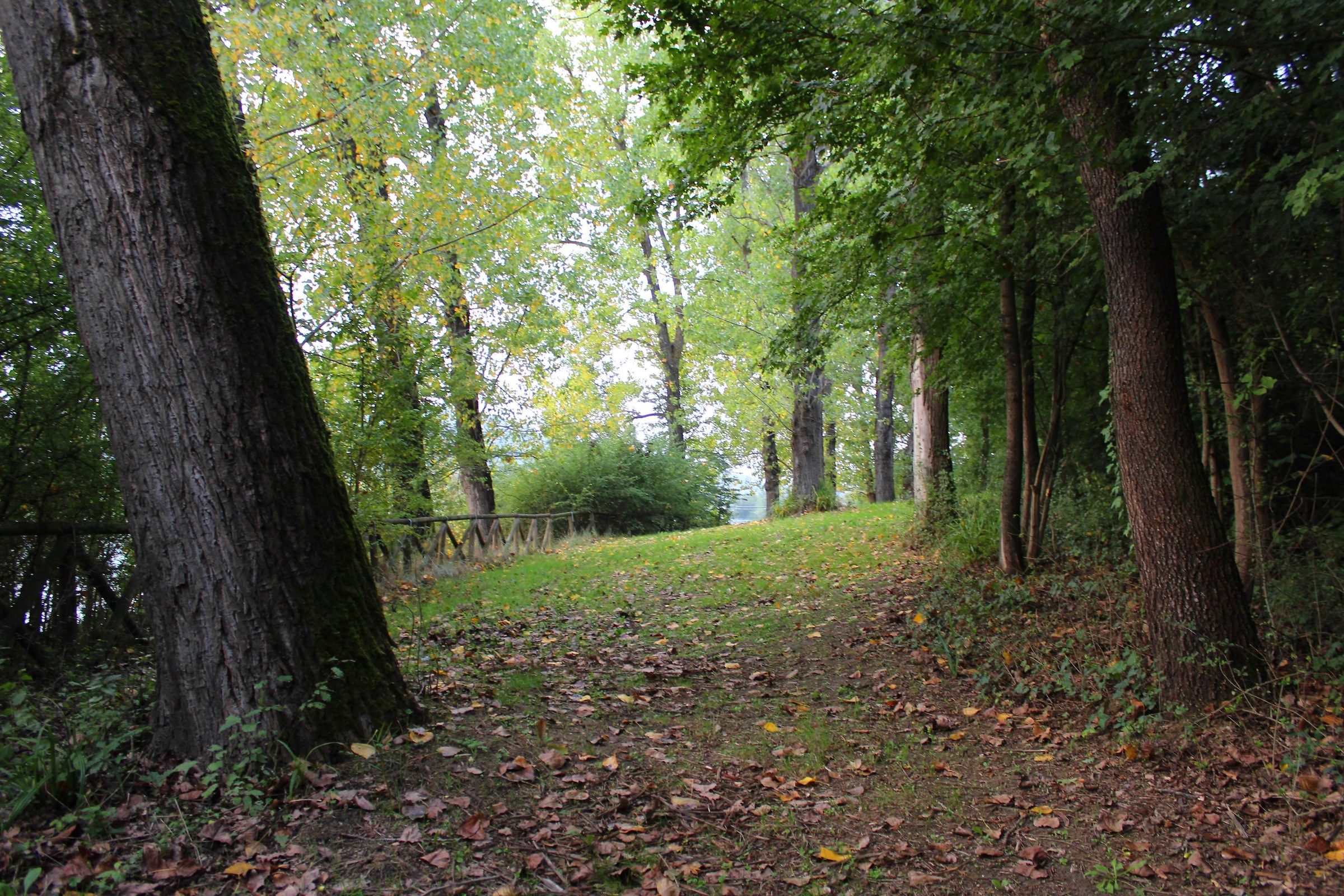 Primi segnali dell'autunno...