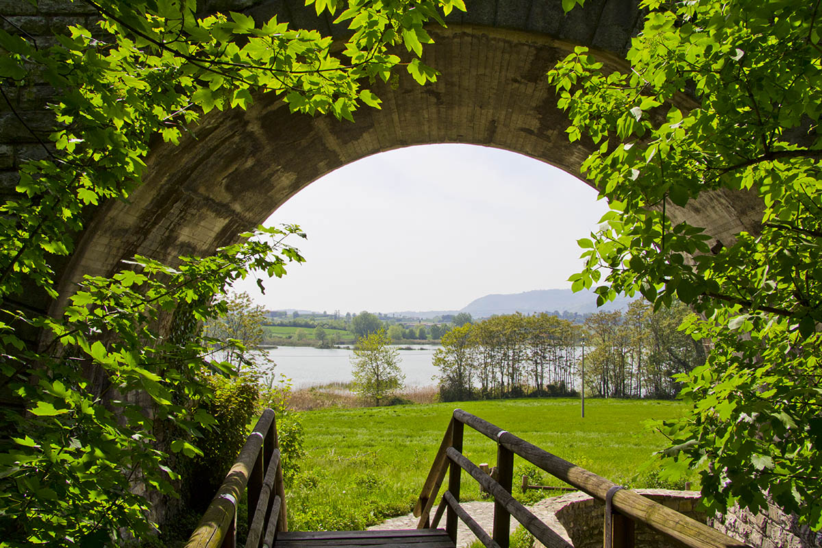 BenveWelcome the bog!