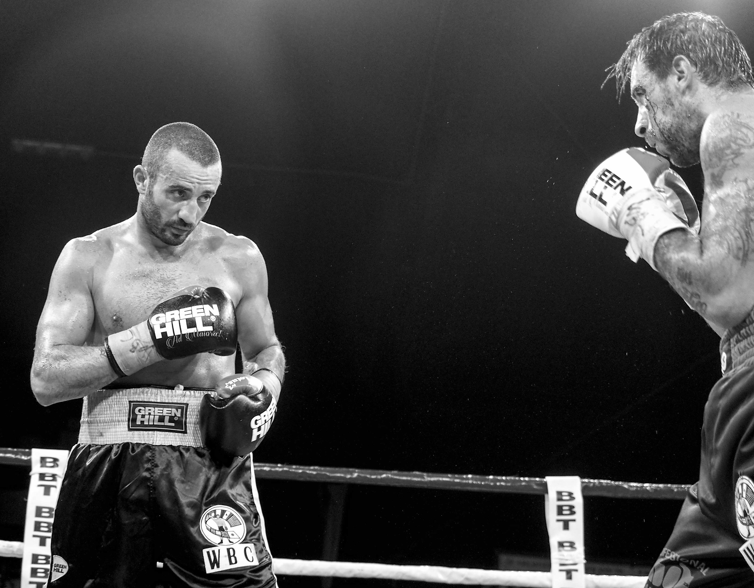 studying the opponent