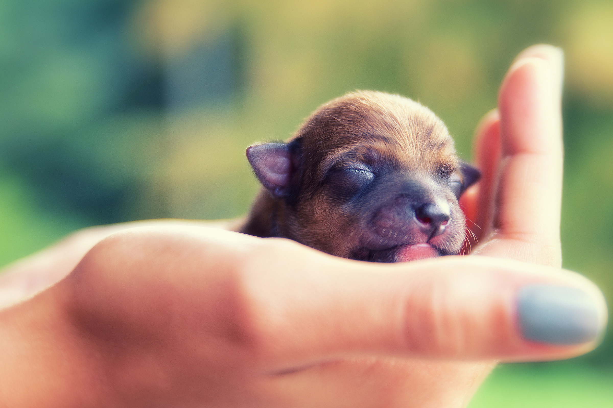 The palm of a hand ....