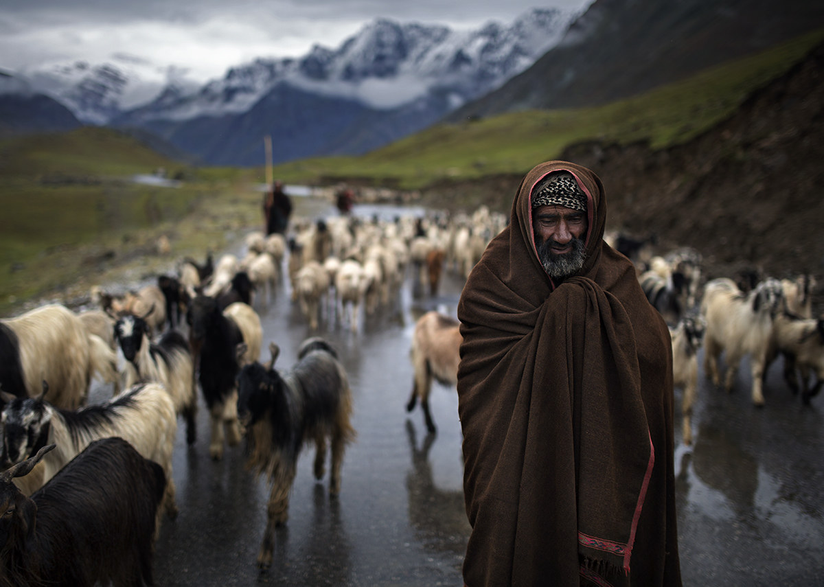 the hard life of the shepherd .. (still shepherds Indians)