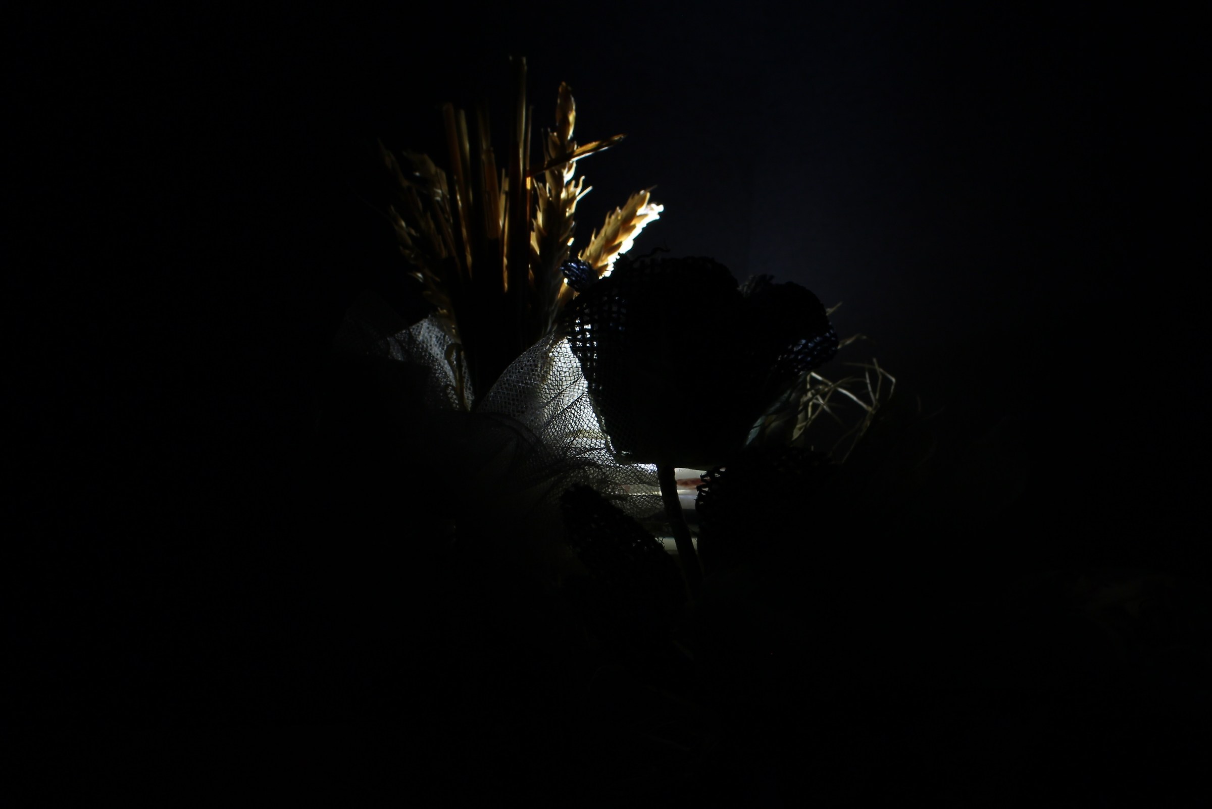 Una rosa al capezzale della natura