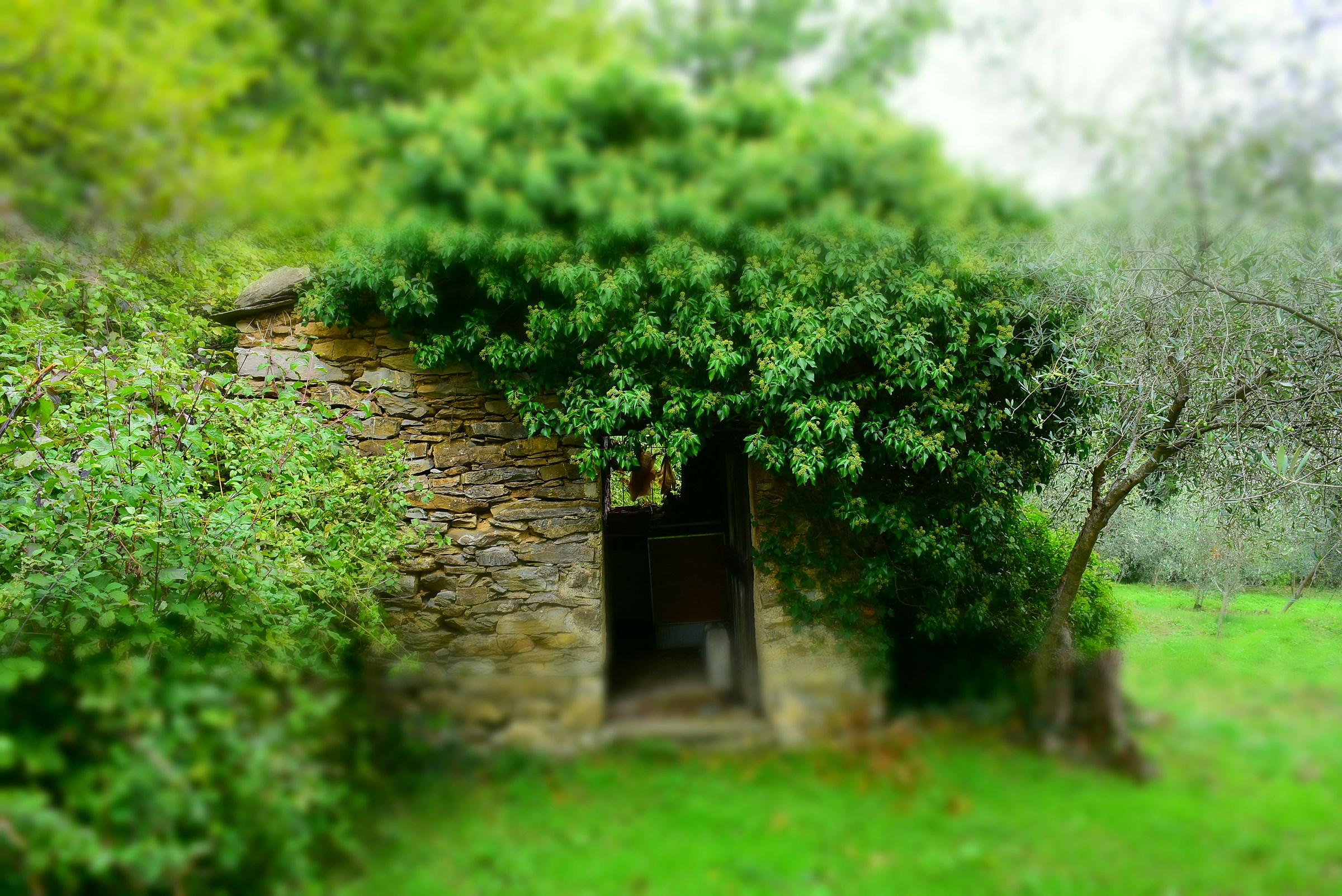 the little stone house