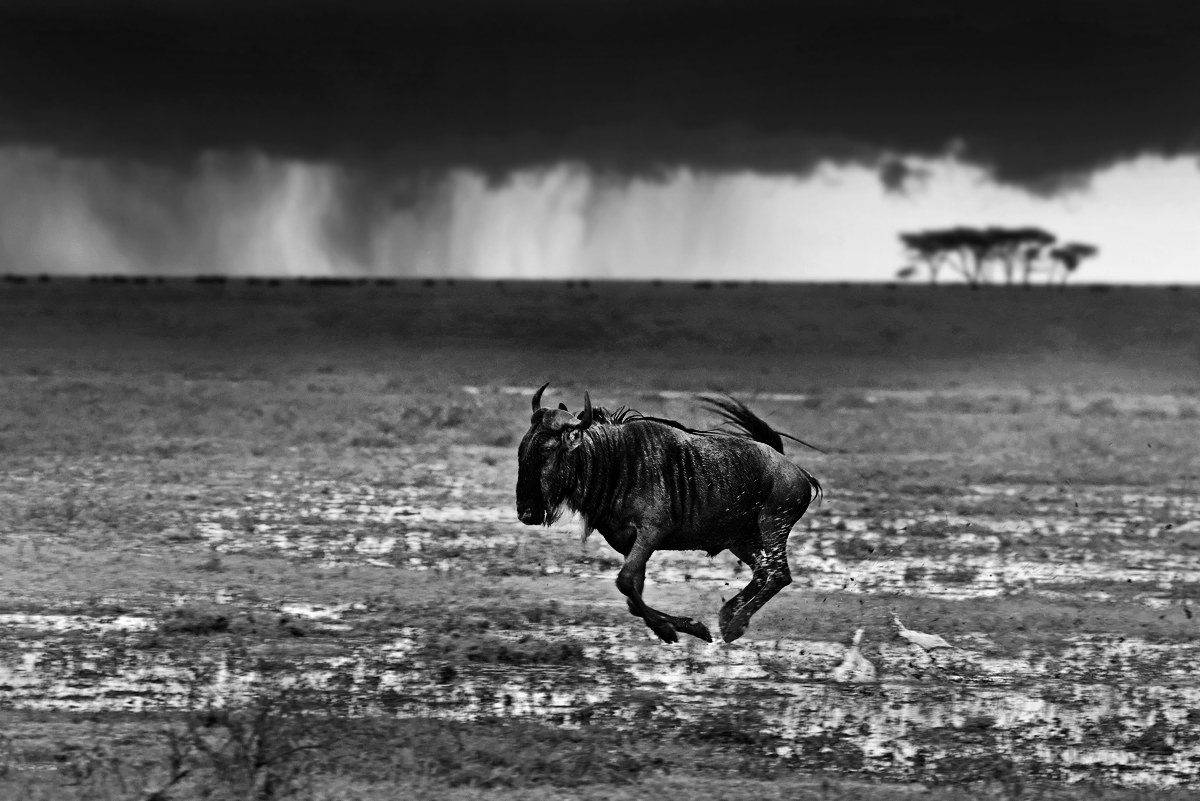 I'm singing in the rain