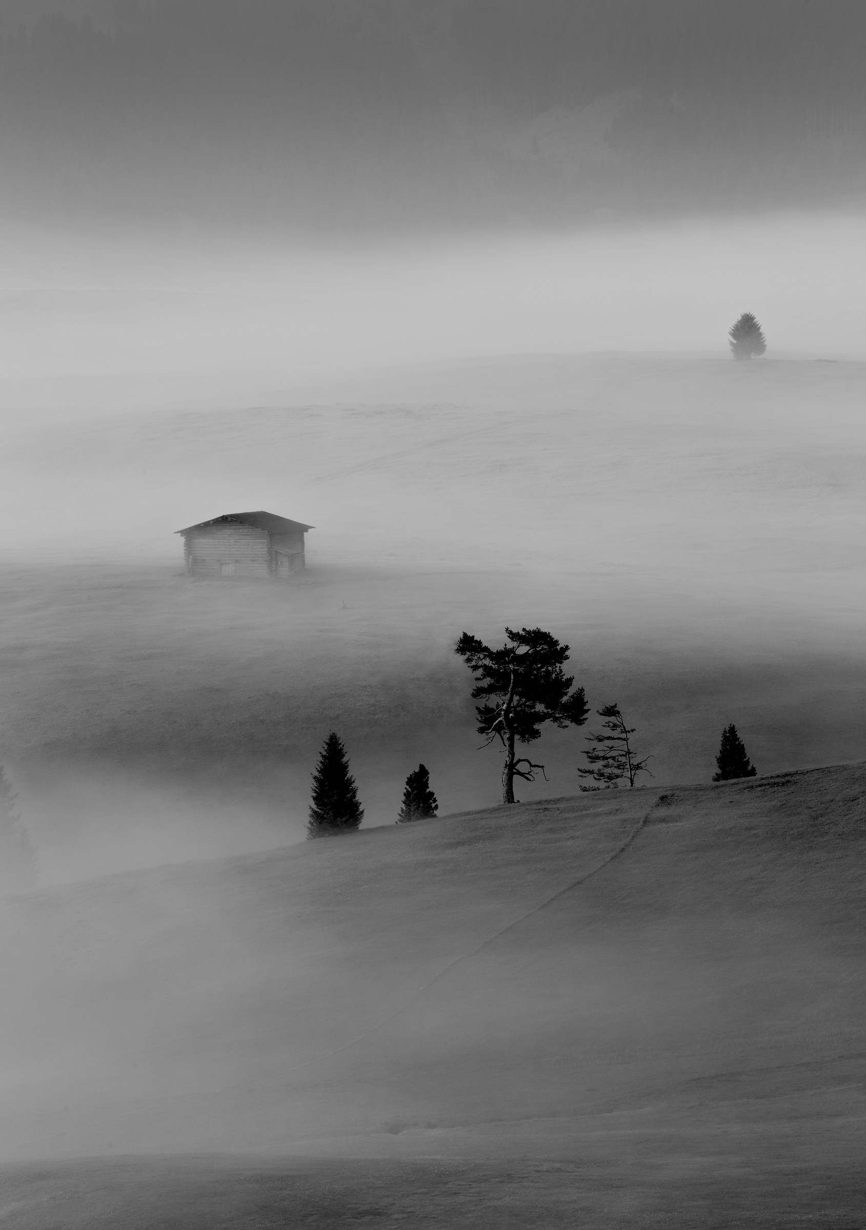 early morning mist - Alpe di Siusi