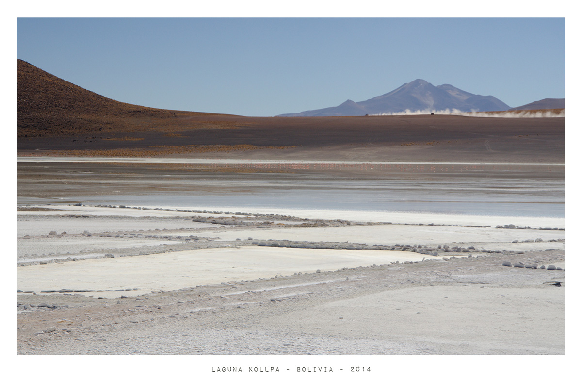 Laguna Kollpa - Bolivia