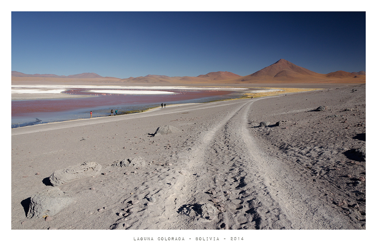Laguna Colorada - Bolivia