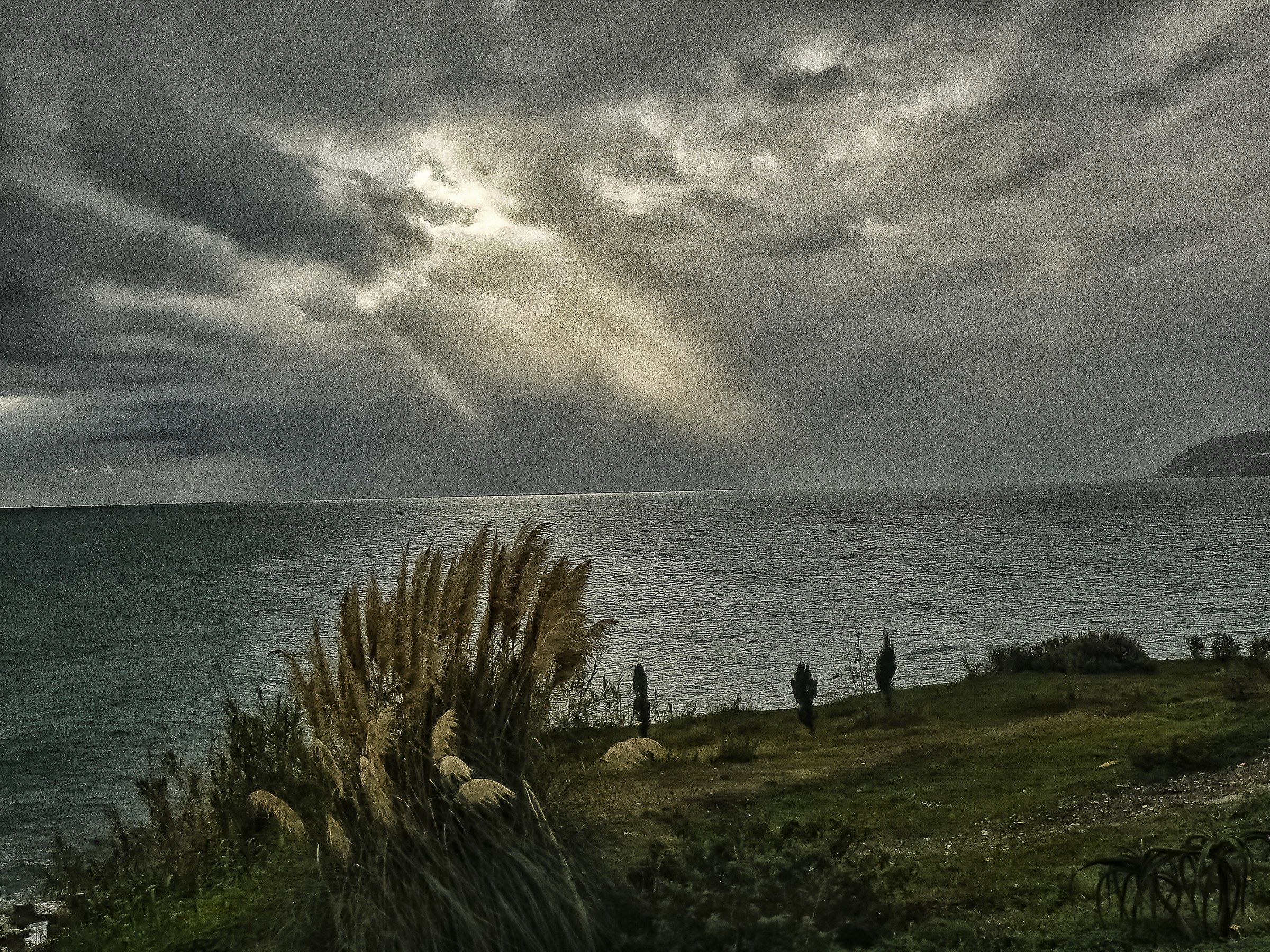Sanremo - capo verde