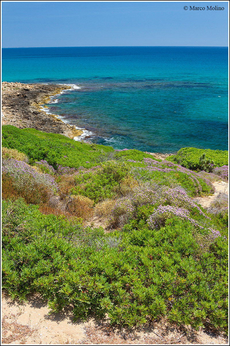 Riserva Naturale di Vendicari