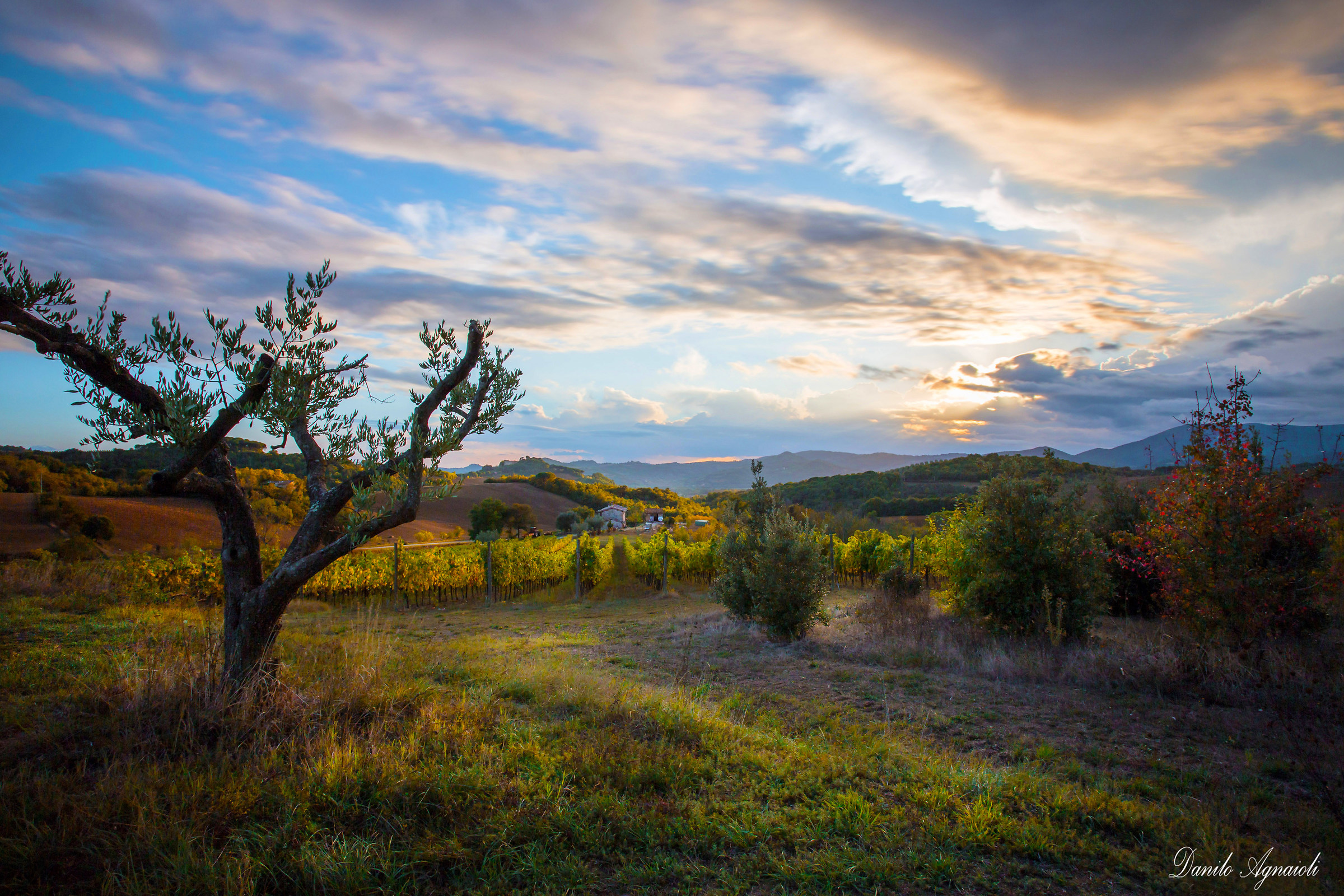 Oggi, un altro giorno,un altro tramonto.