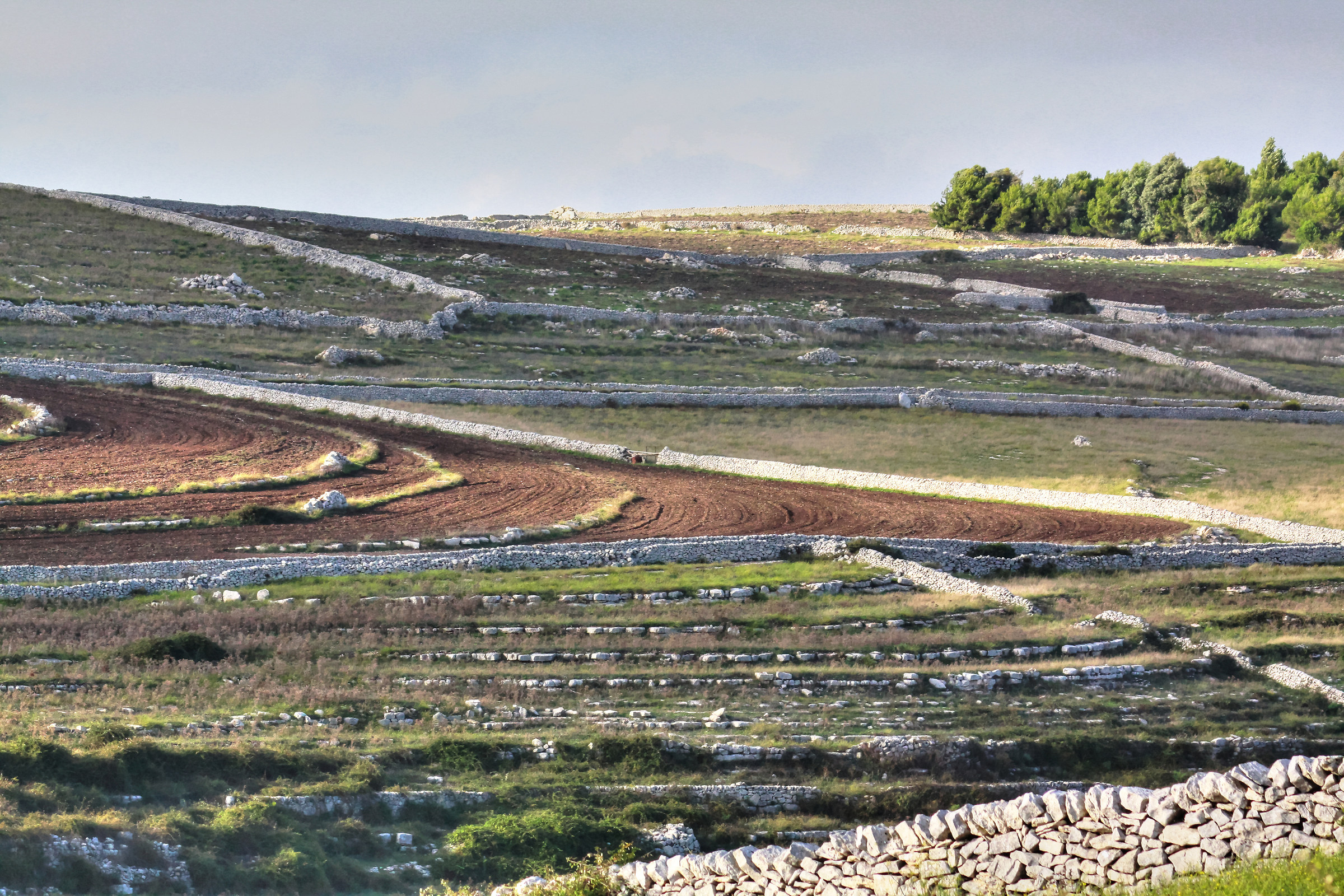 campagna iblea in autunno-3