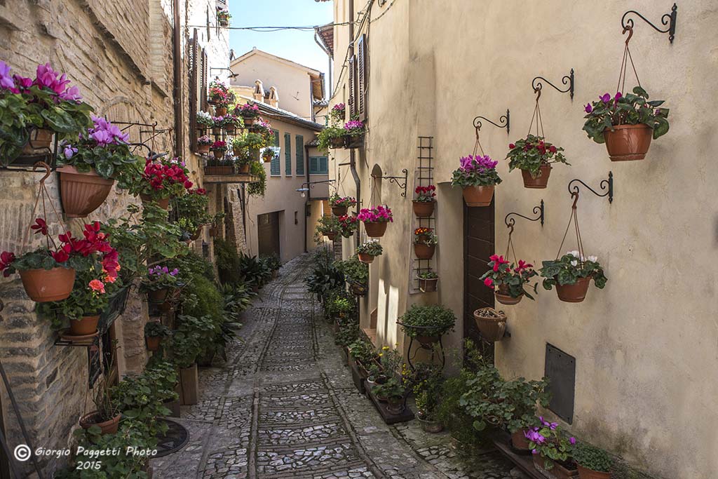 Spello