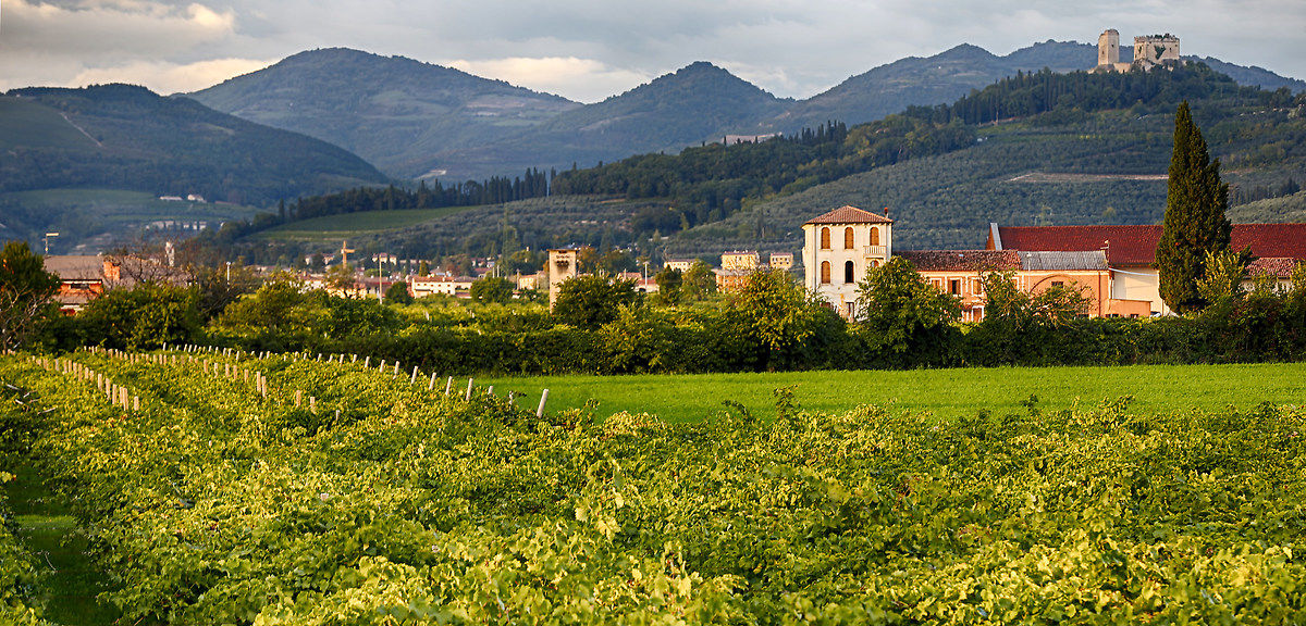 Colognola ai Colli paesaggio