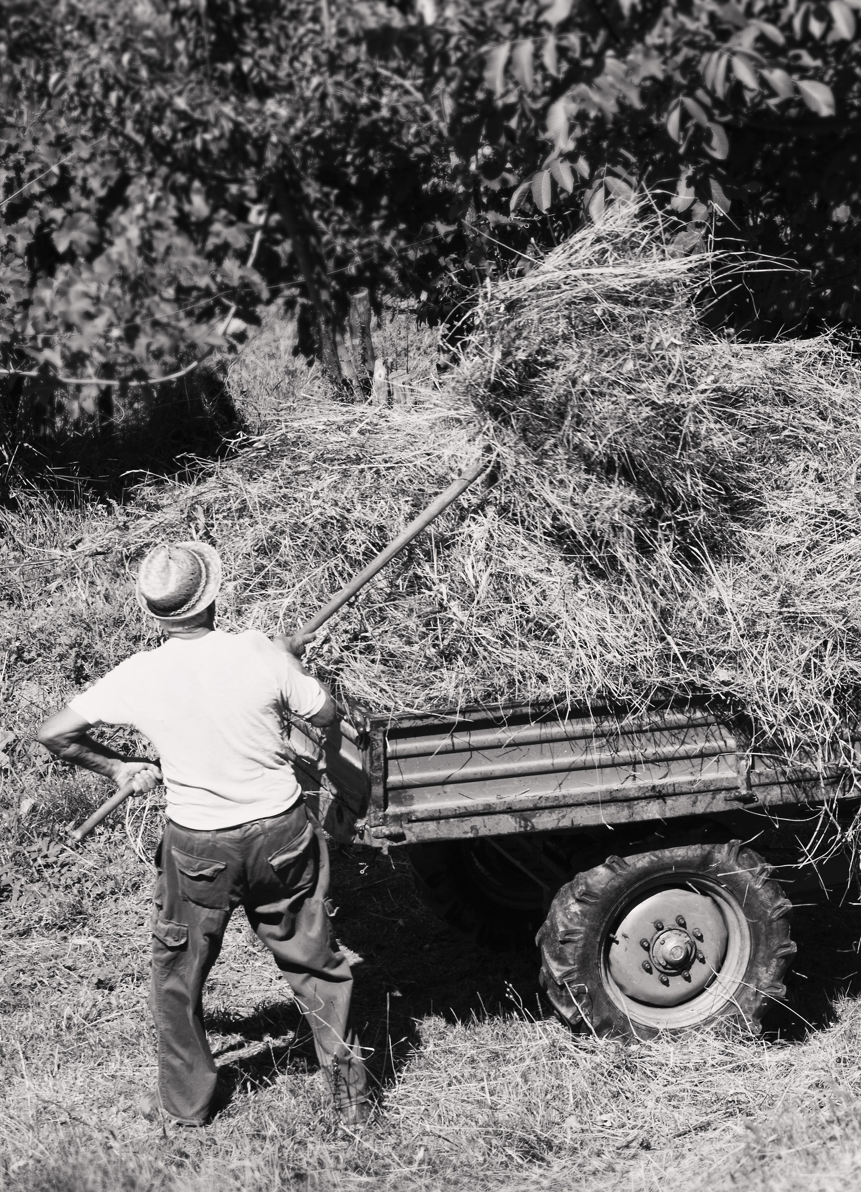 Despite the Internet .....