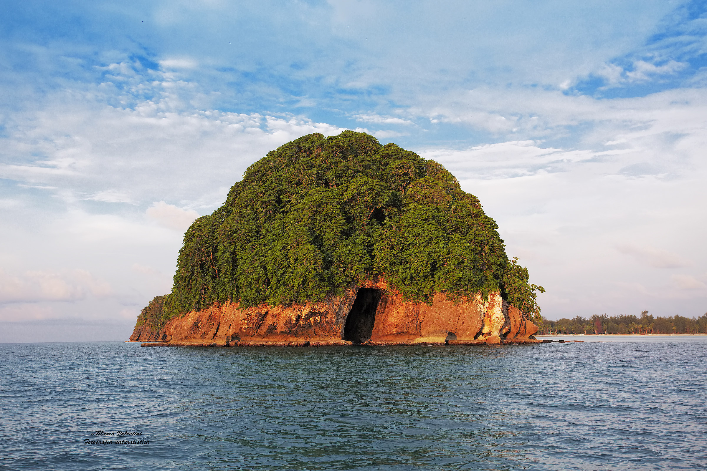 Il panettone di foresta