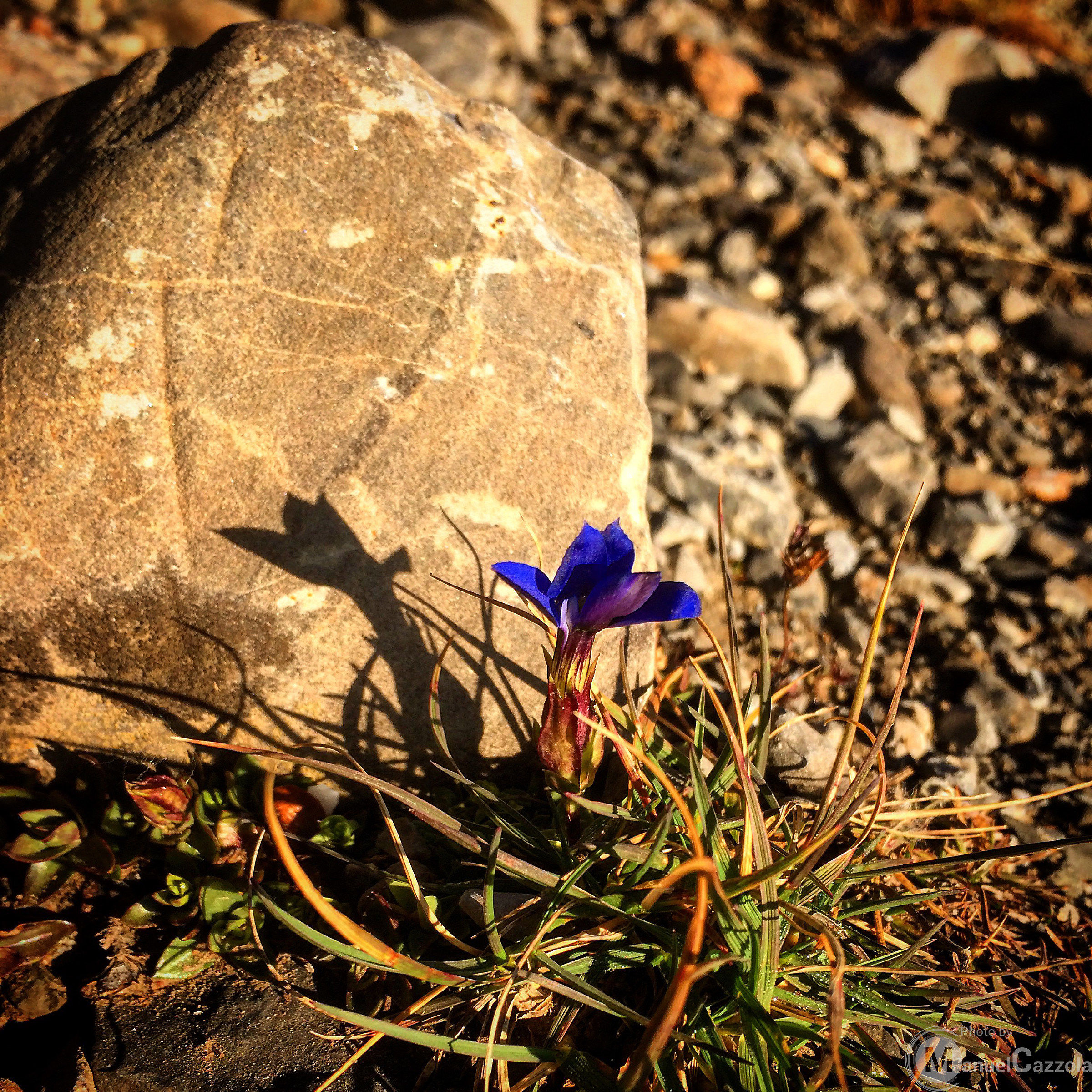 Piccoli dettagli di un trekking