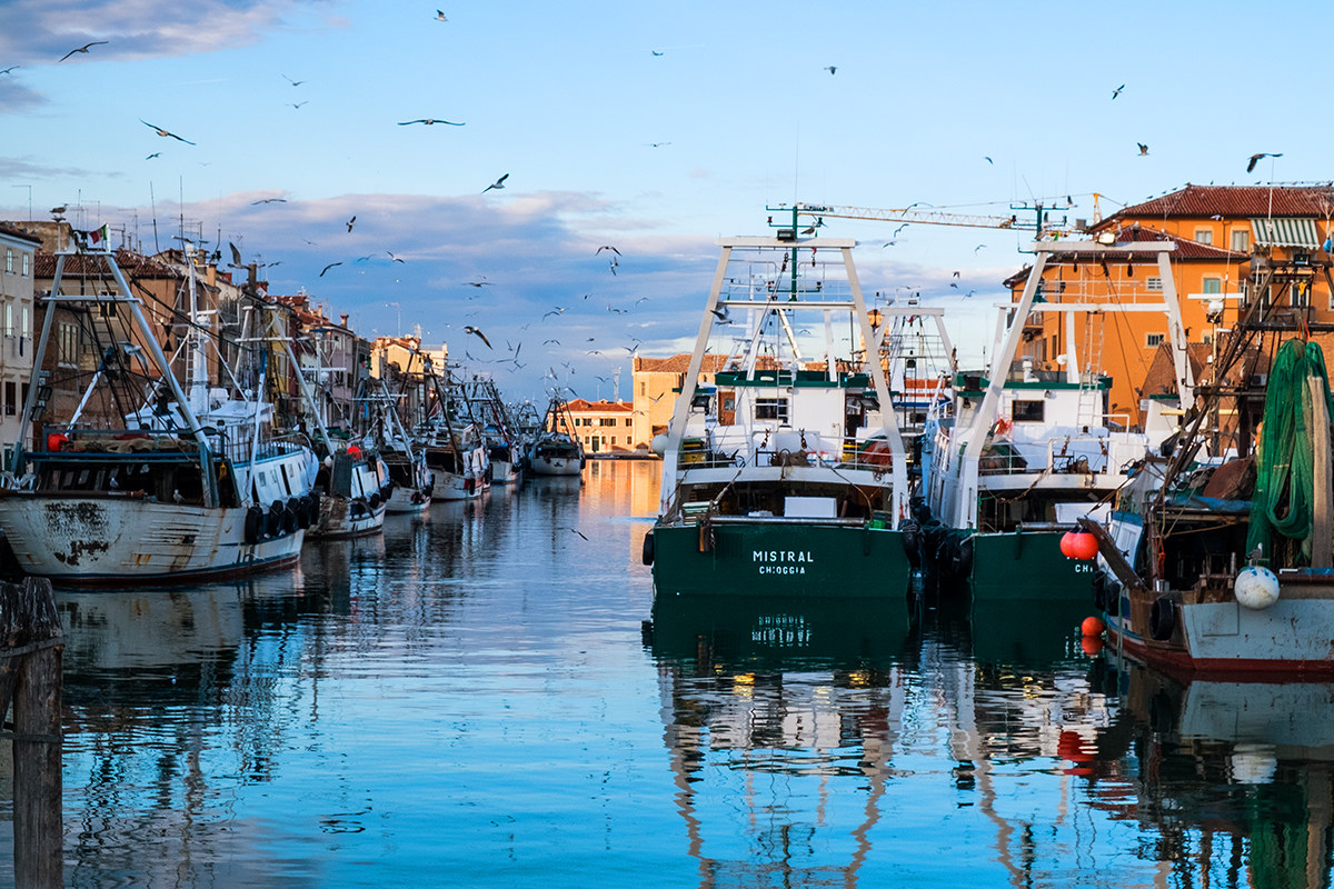 Chioggia (Momenti)