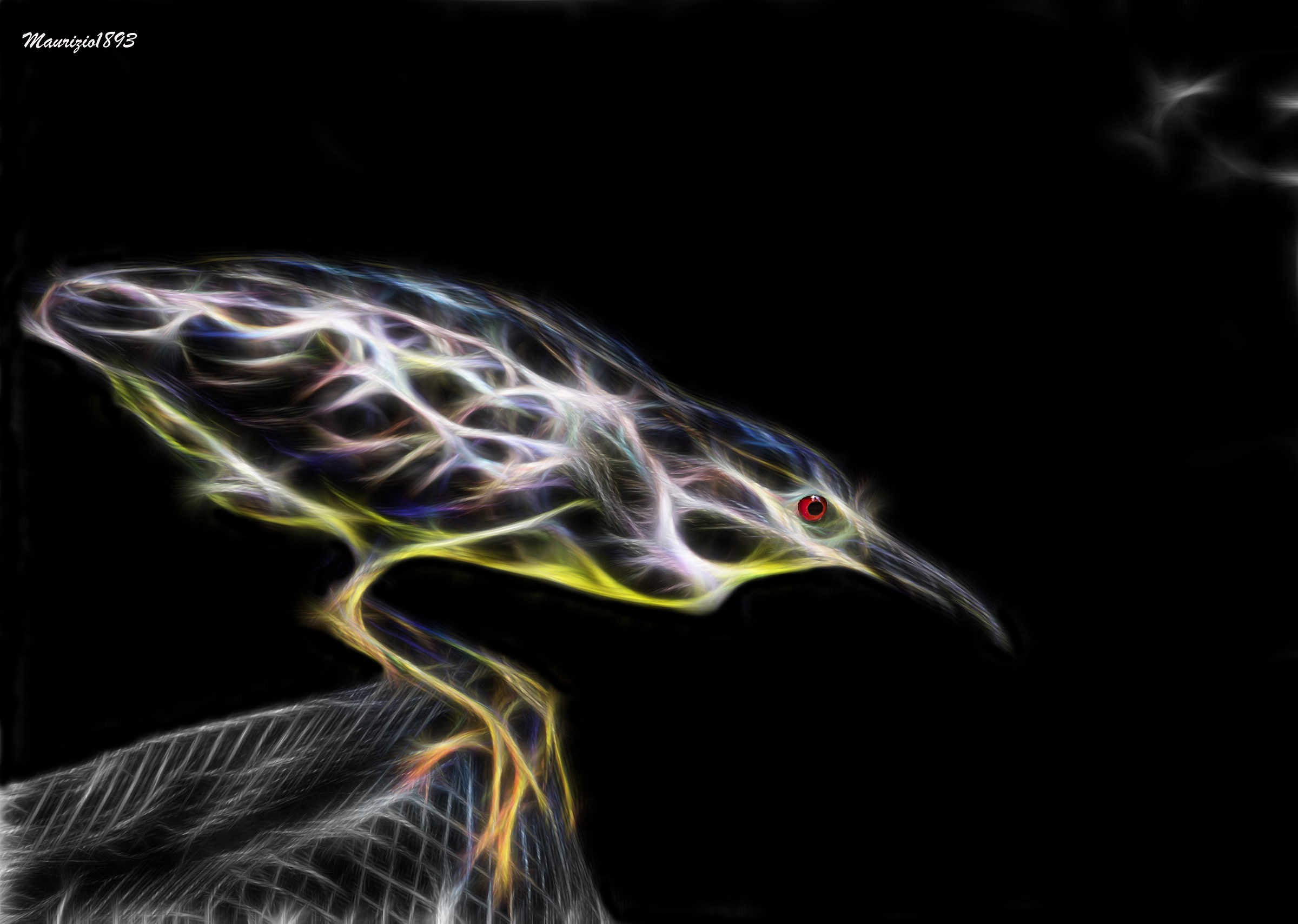 Night Heron electric