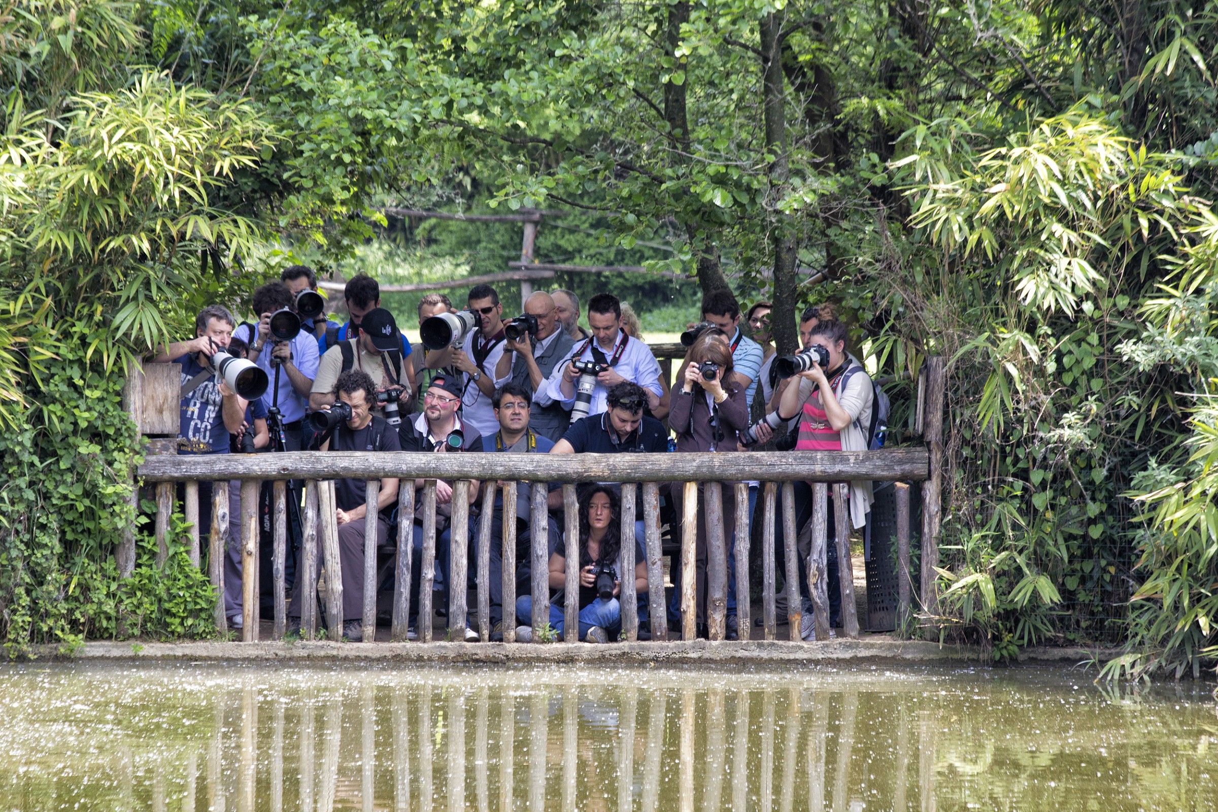 Fotografia ... naturalistica!!!