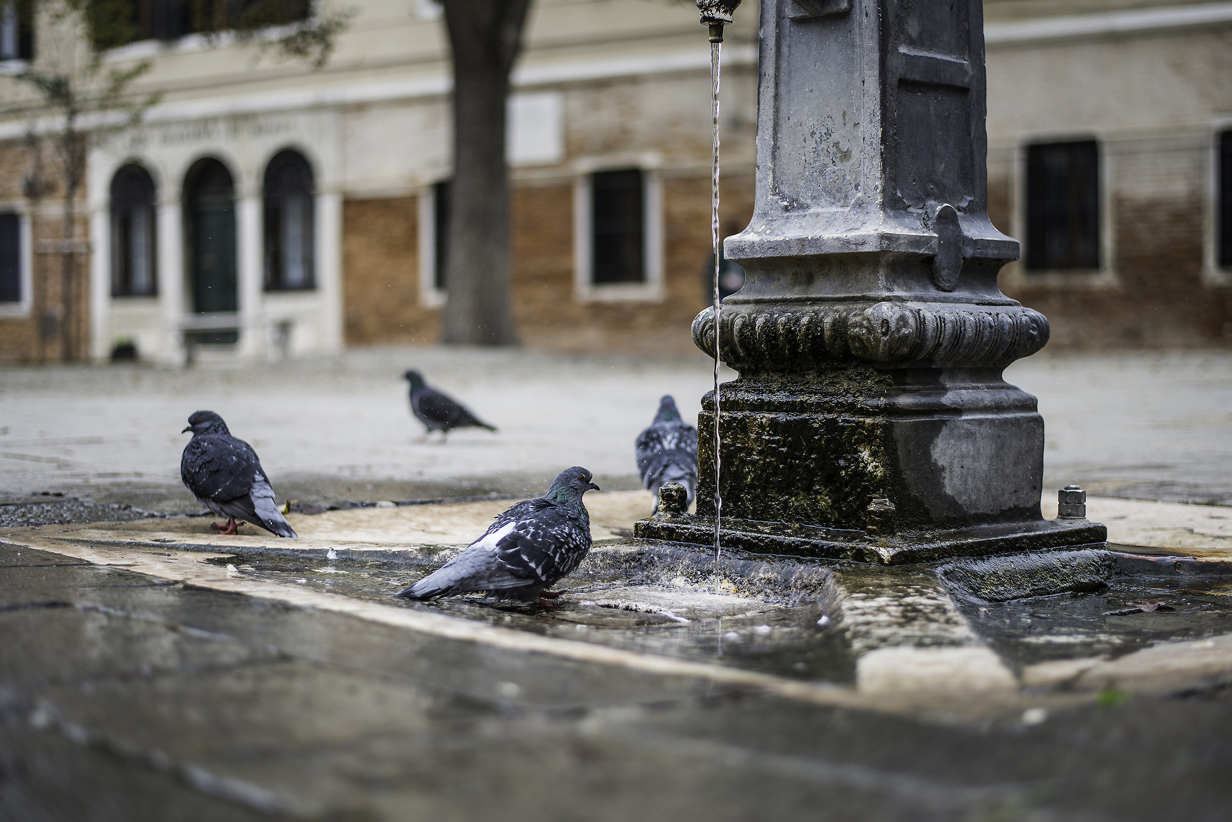 Fontanella in the Ghetto