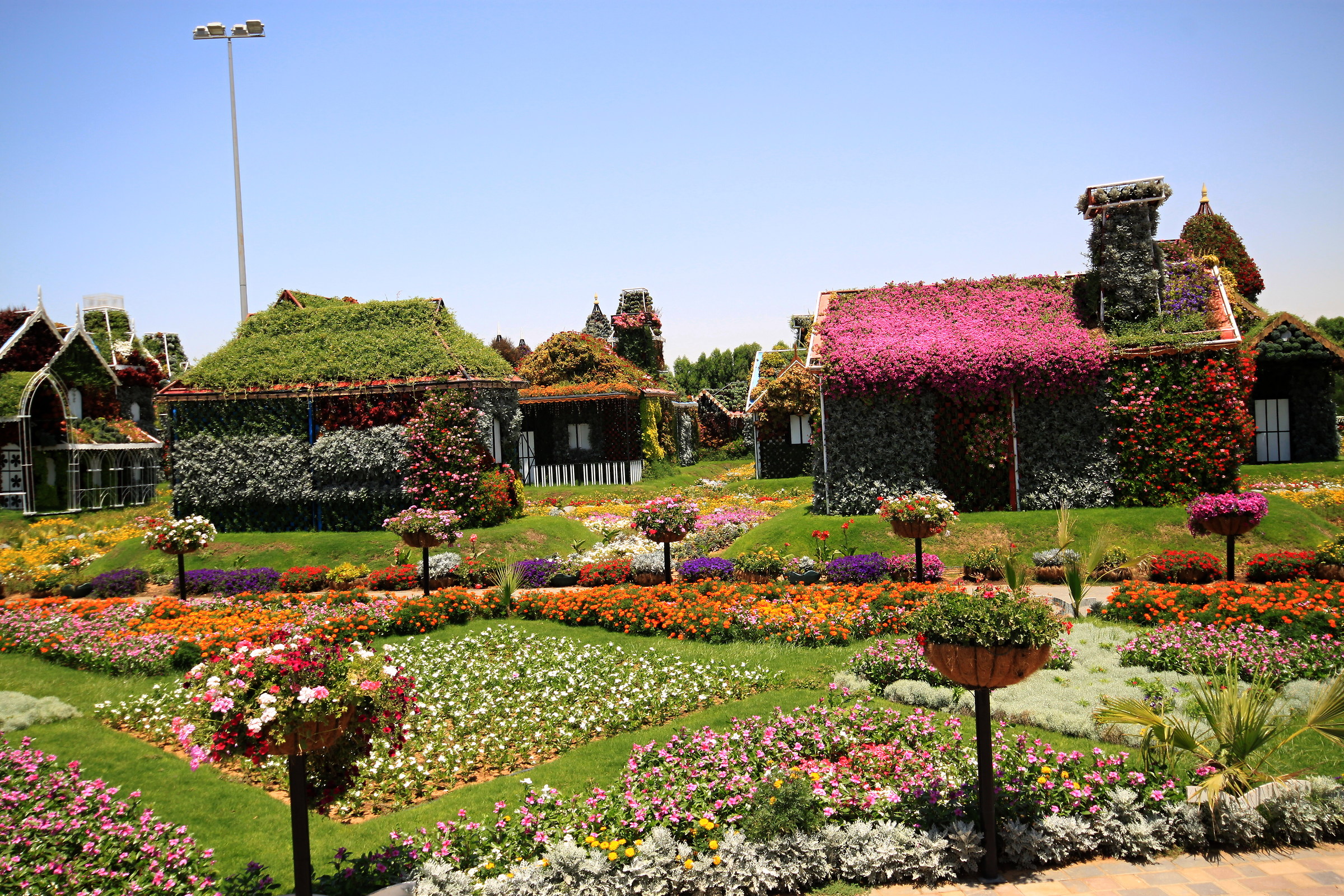 Dubai Miracle Garden