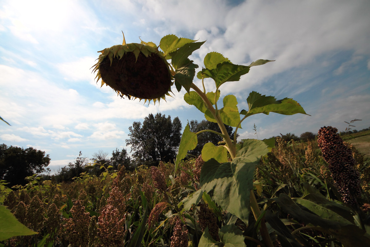 And if the sun is where around?