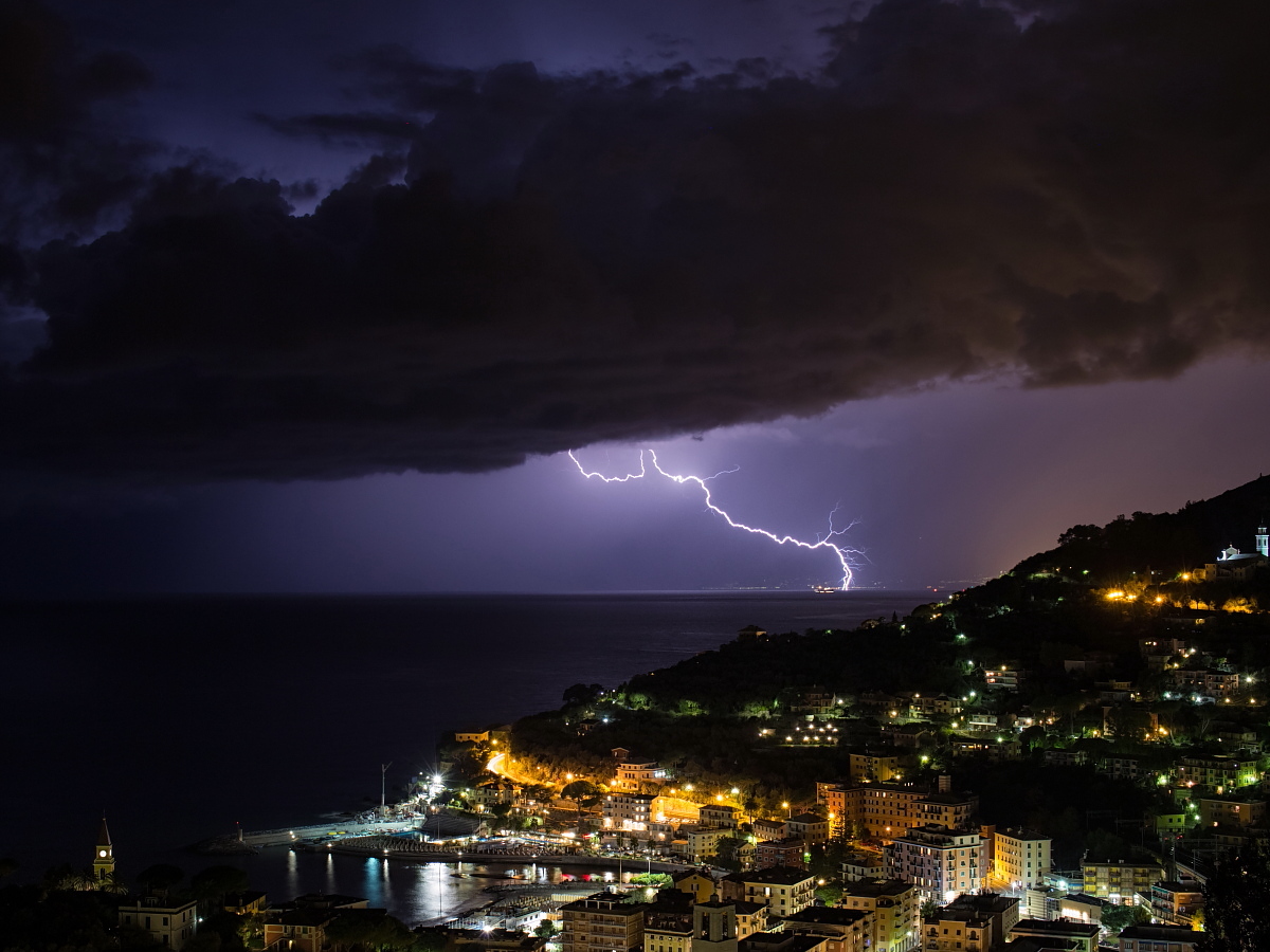 Pesce fritto appena pescato