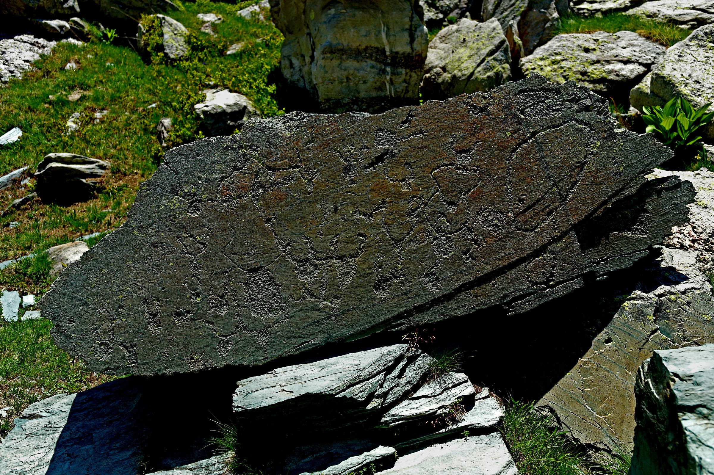 ... Photography did not exist