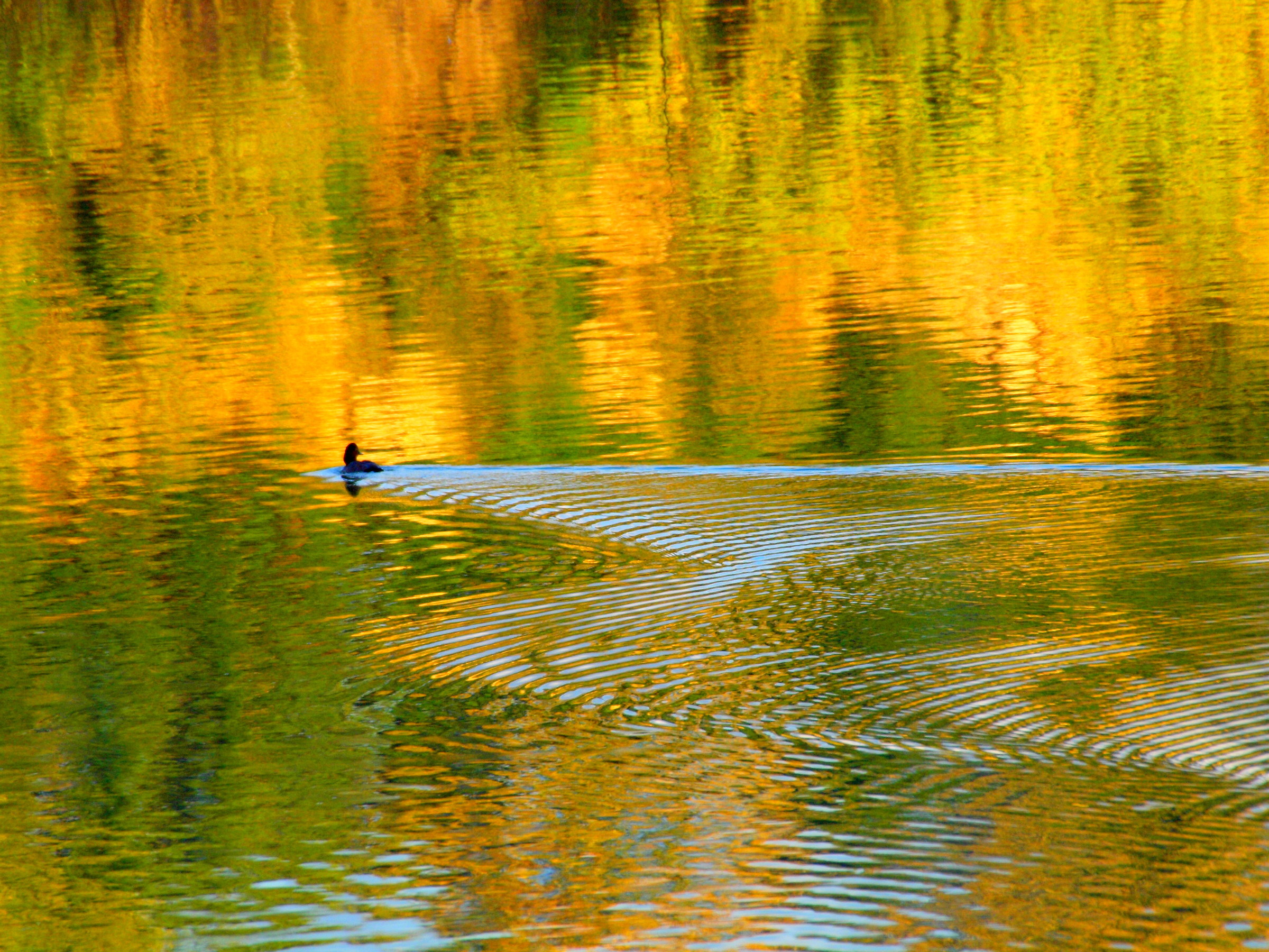 Oasi naturale di Farfa