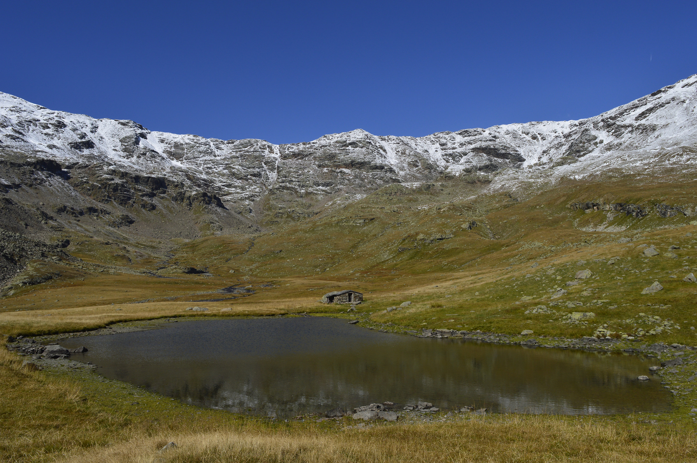 Fine estate a Campisolo Alto