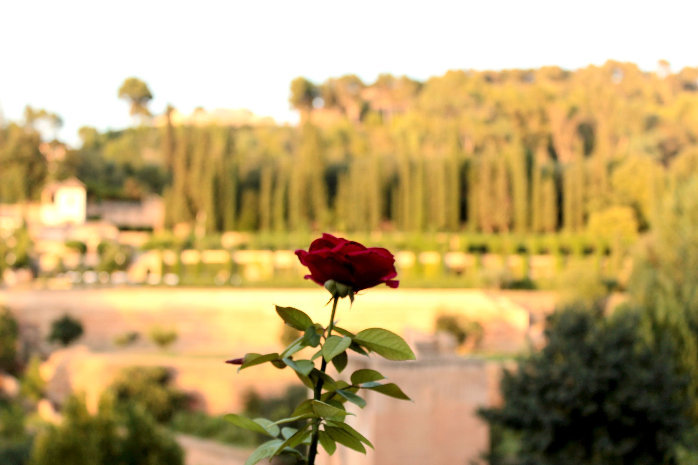 Giardini del Generalife