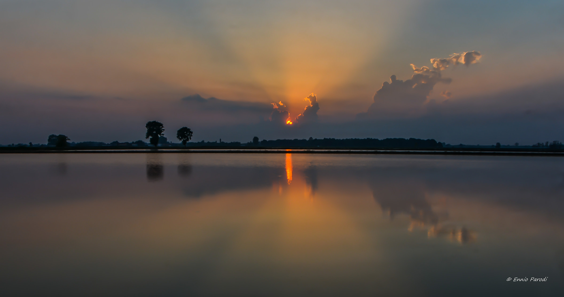 Sunset in the rice fields