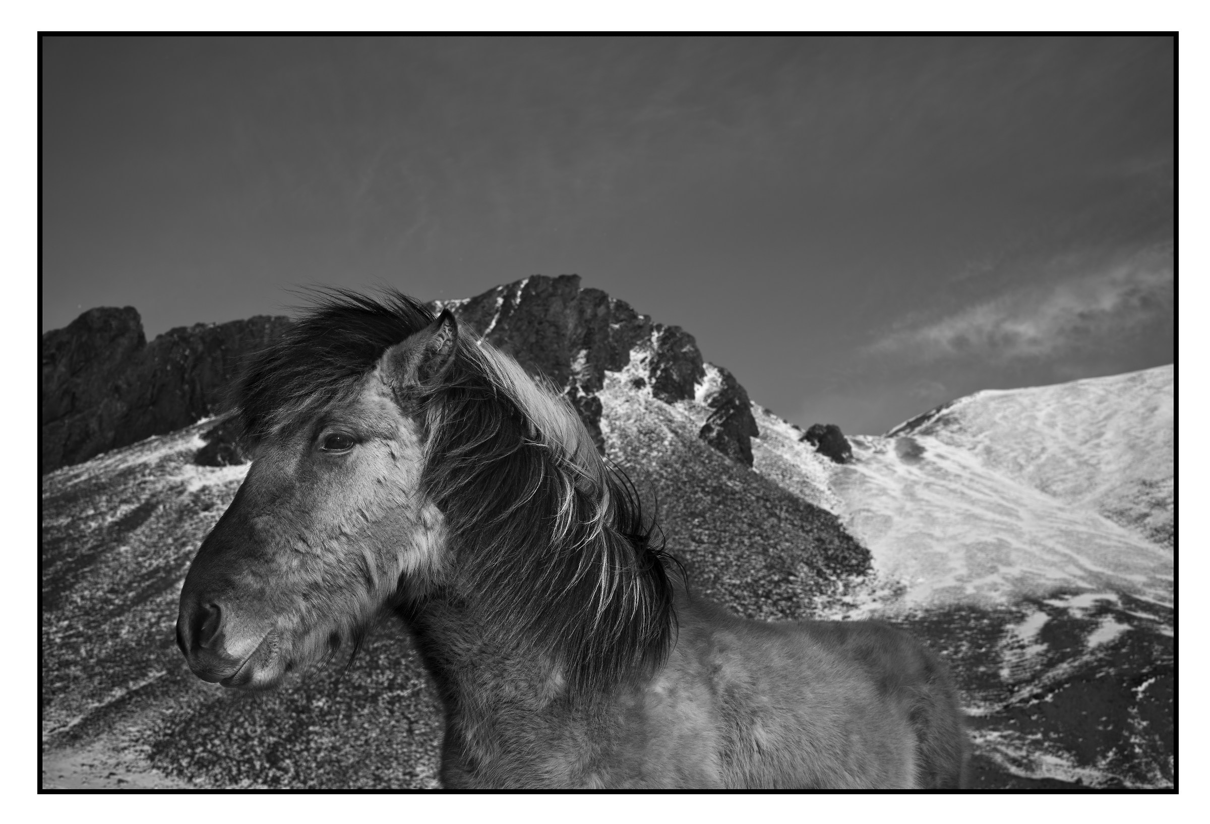 M Monochrom Typ 246 - Ph Ragnar Axelson 02