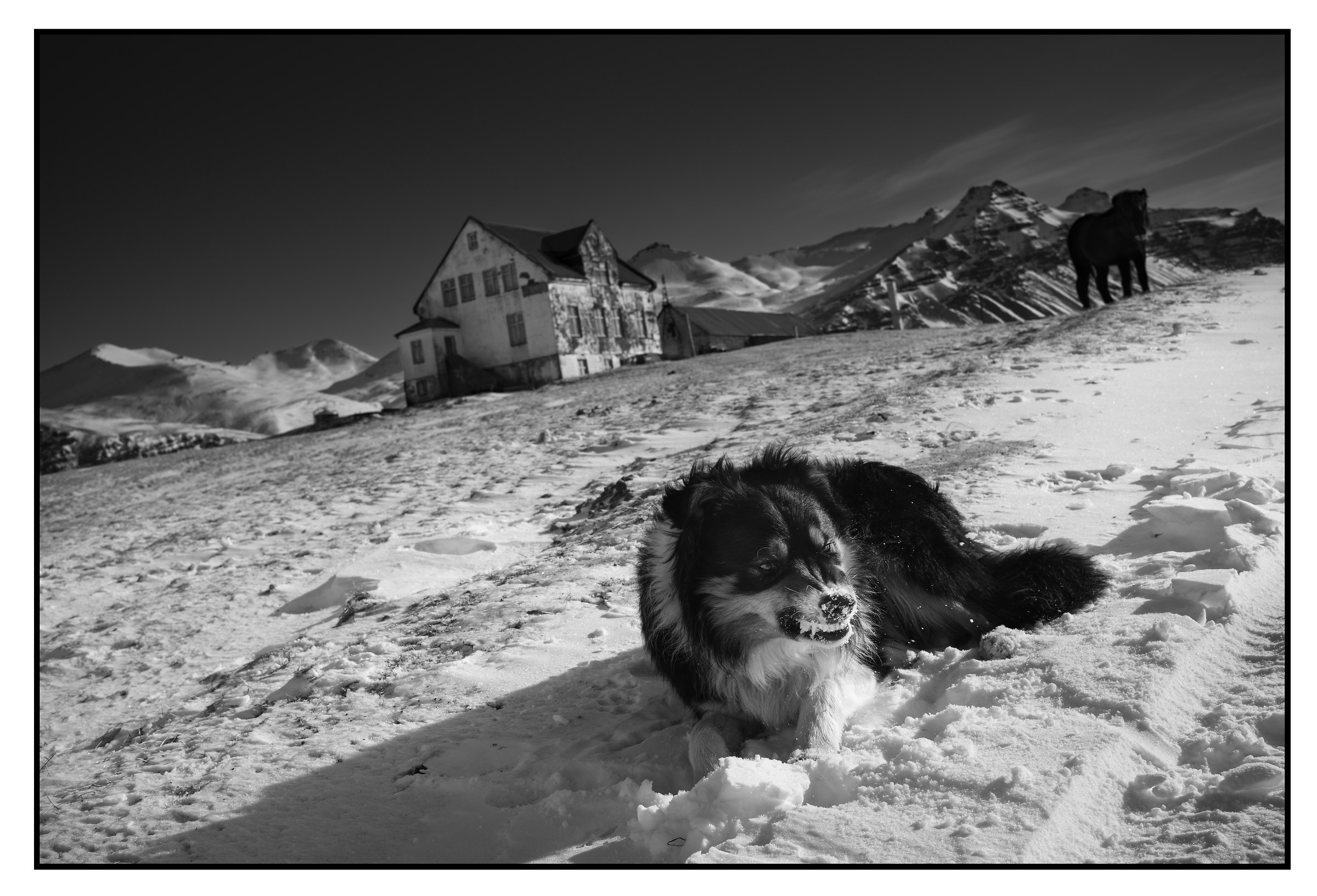 M Monochrom Typ 246 - Ph Ragnar Axelson 01