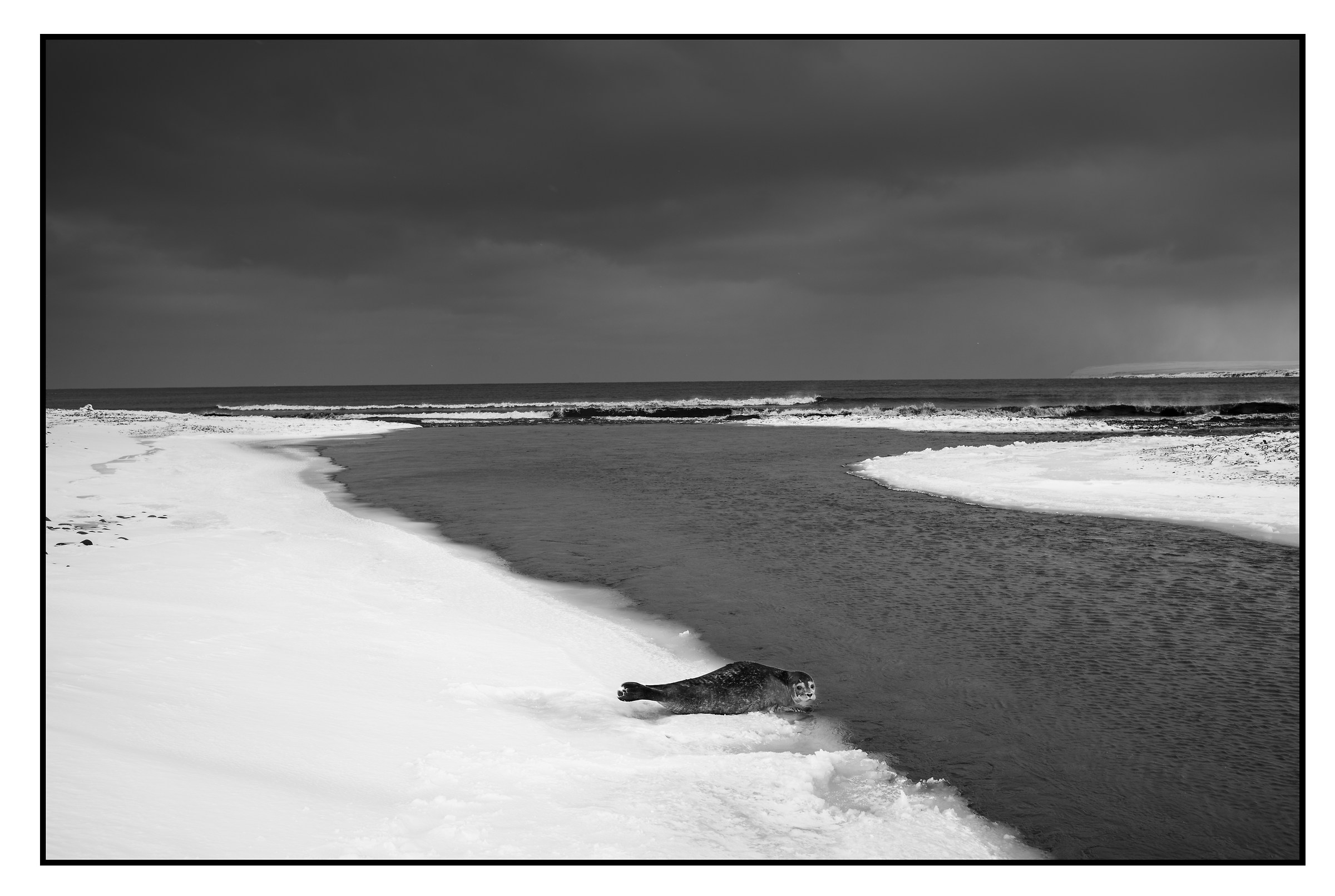 M Monochrom Typ 246 - Ph Ragnar Axelson 04