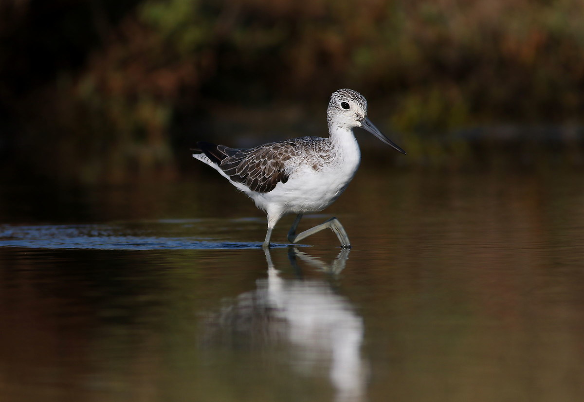 il passo della pantana