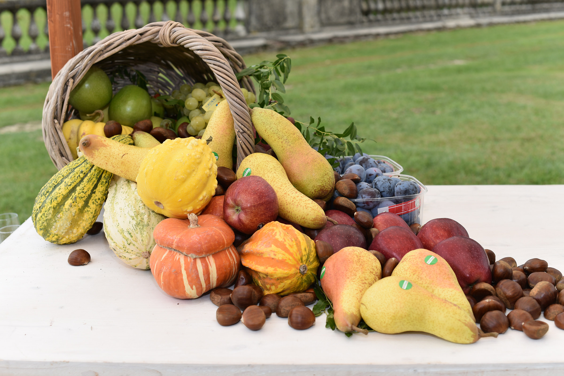 Fruits and vegetables Km 1