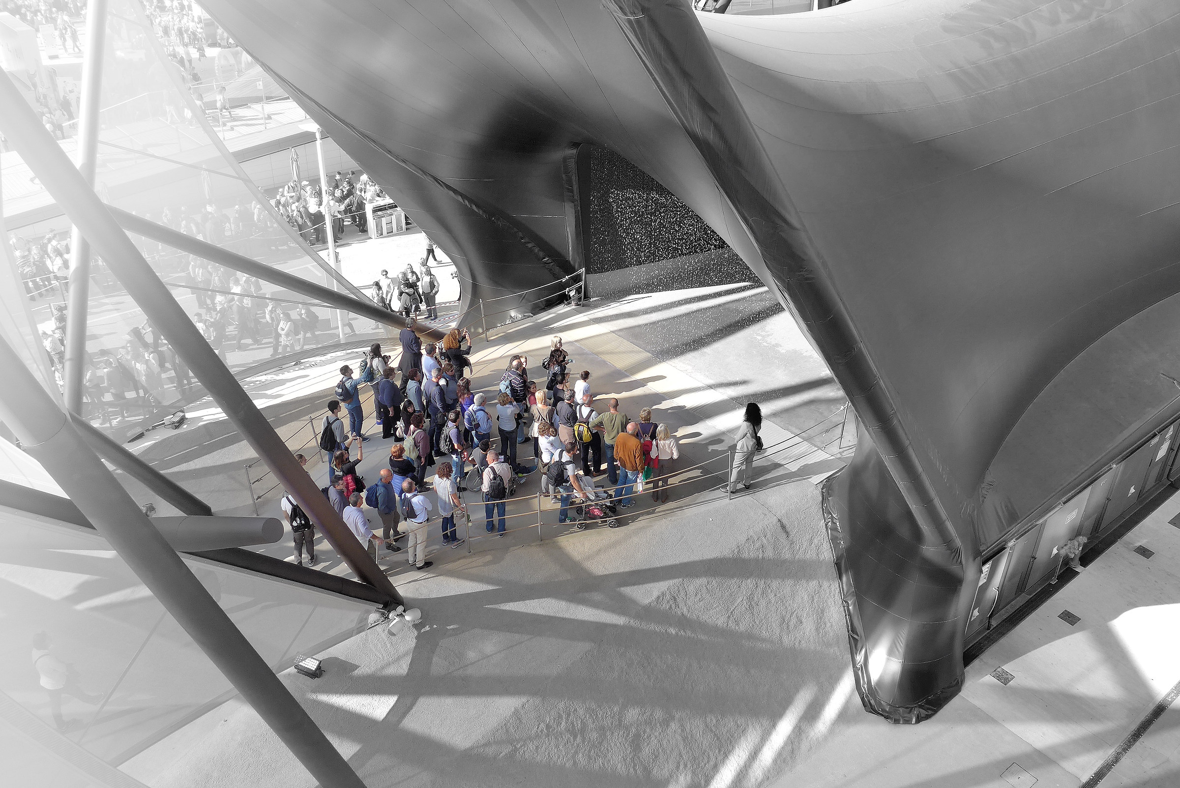 in bocca alla " balena"