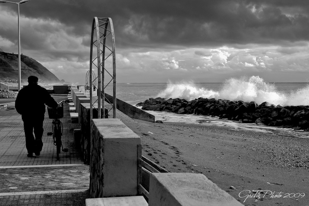 Il vecchio e il mare
